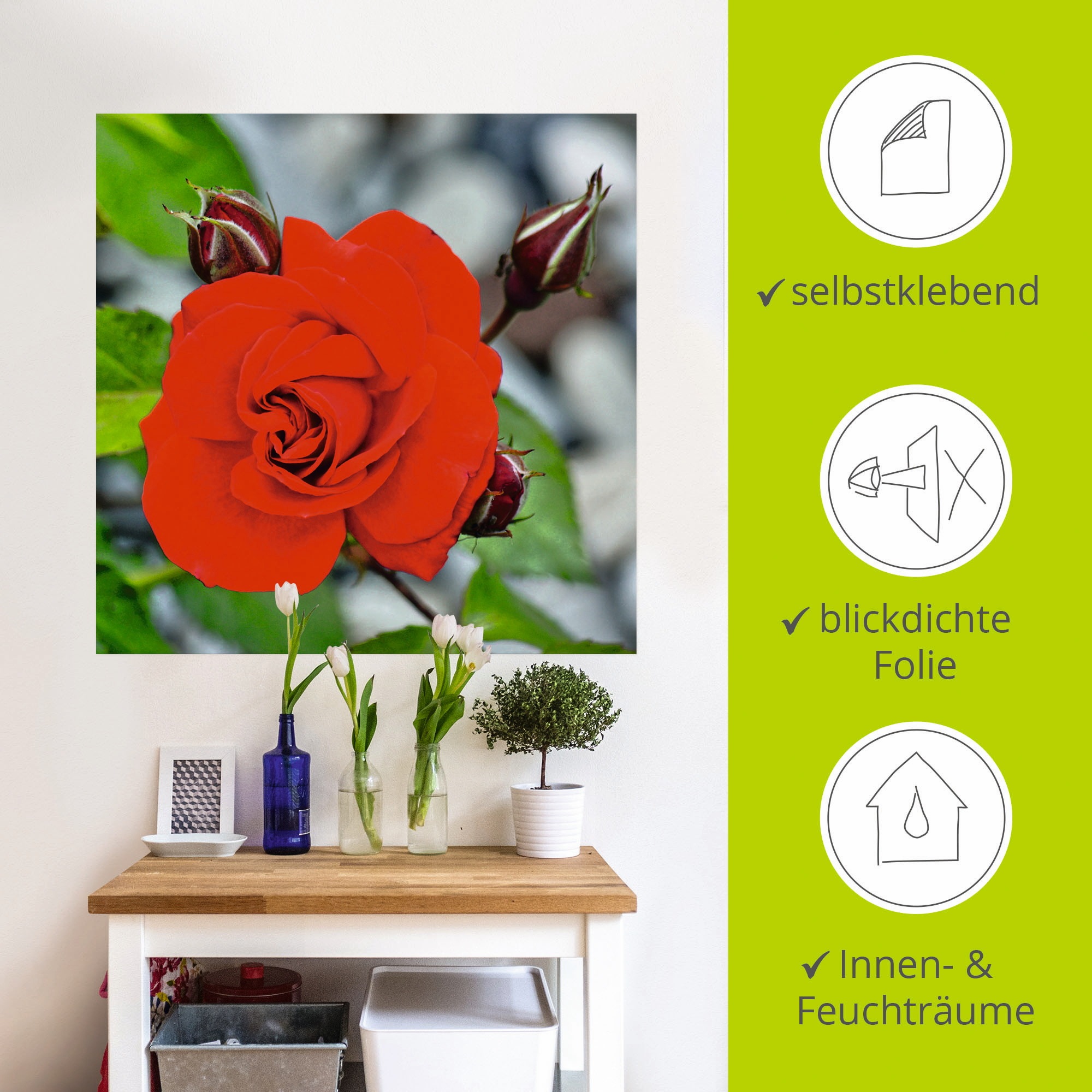 Artland Wandbild »Rote Rosenblüte mit Knospen«, Blumen, (1 St.), als Leinwandbild, Wandaufkleber in verschied. Größen