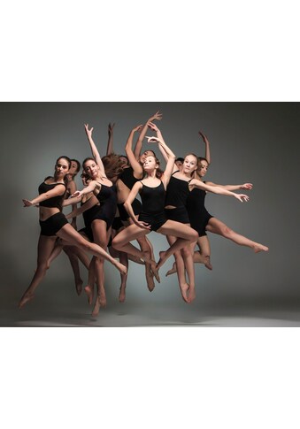 Papermoon Fototapetas »Ballette«