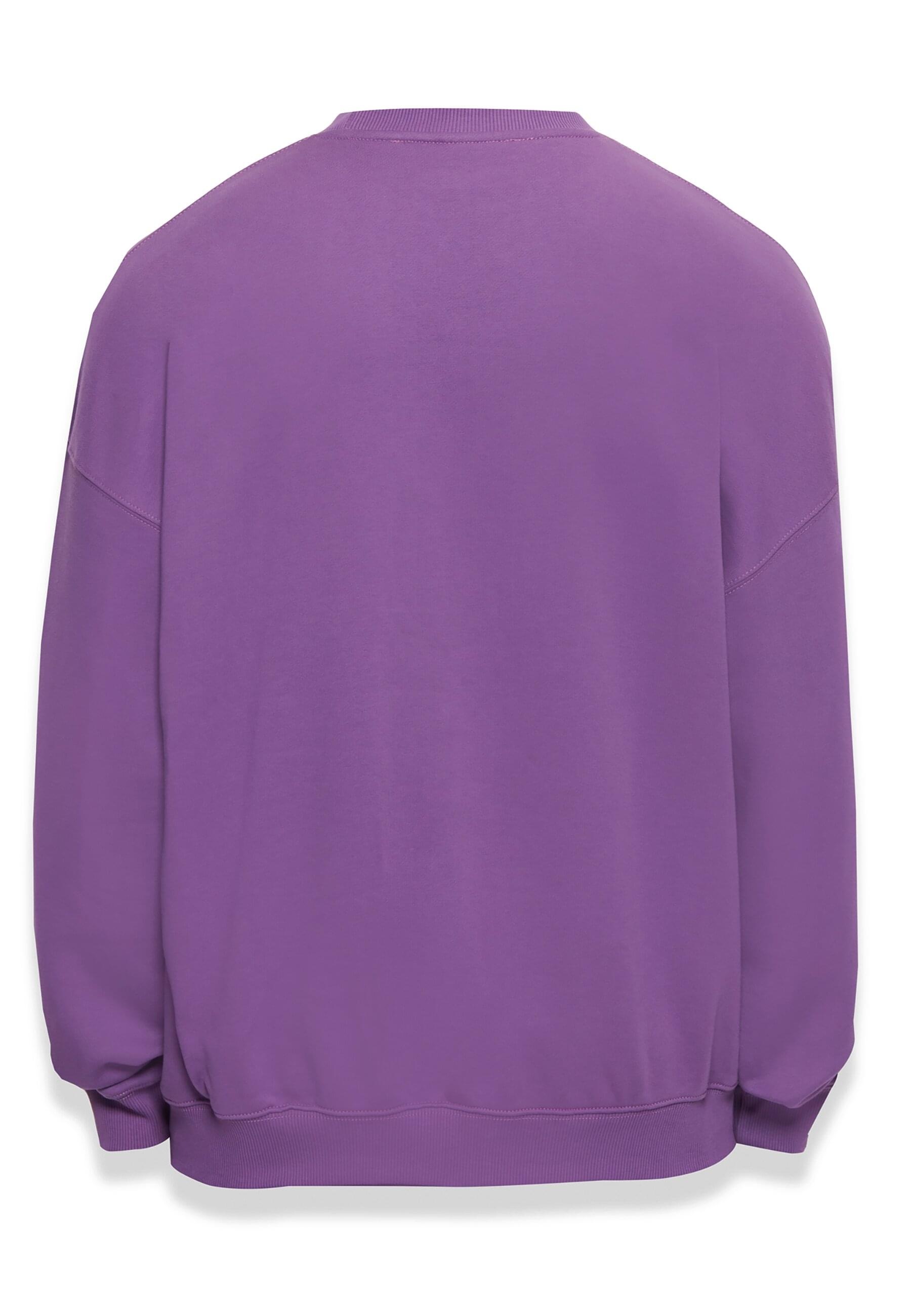 Dropsize Rundhalspullover "Dropsize Herren Bazix Republiq Super Heavy Blank günstig online kaufen