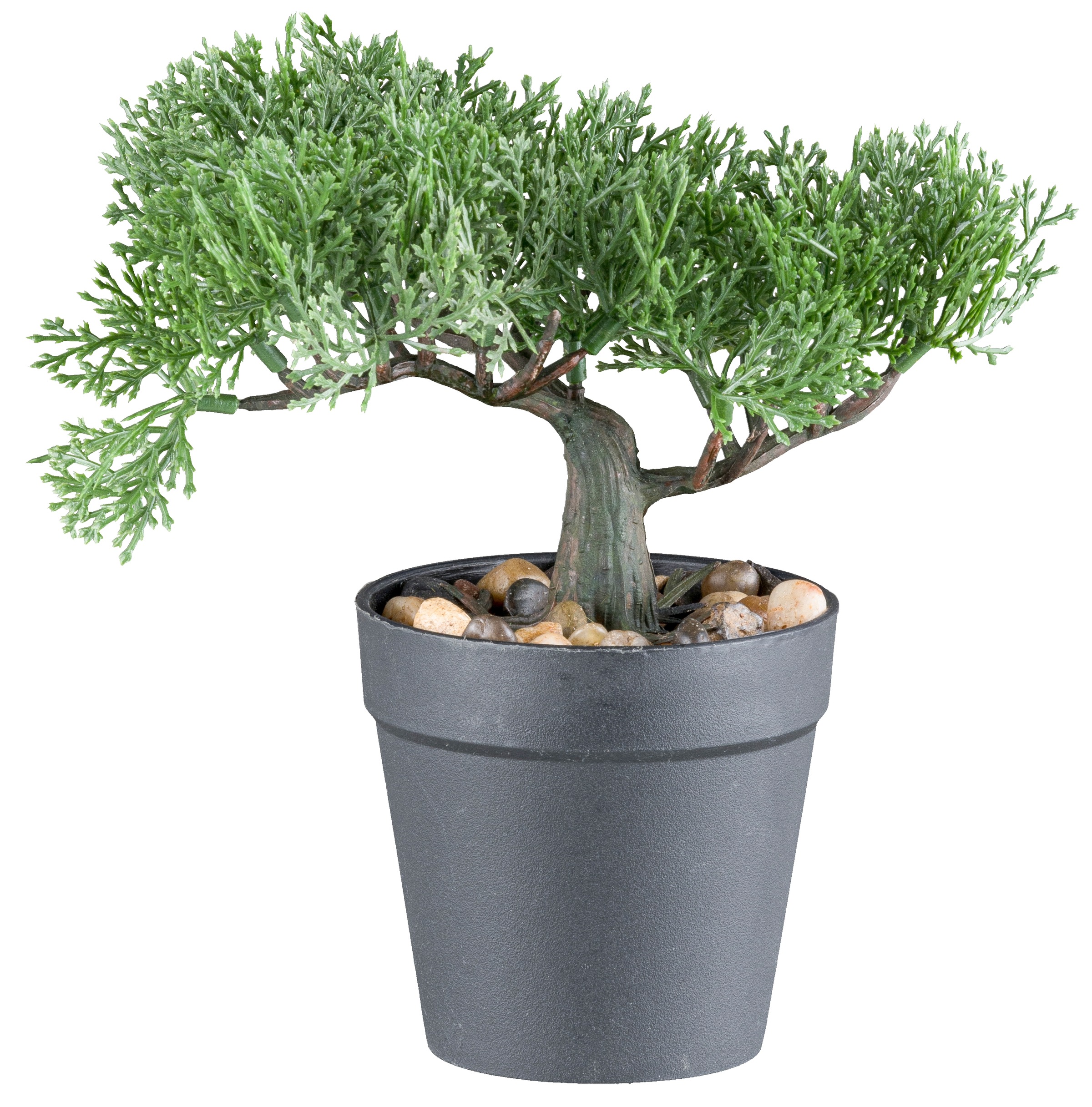 Creativ green Kunstbonsai "Bonsai Kiefer", mit 2 Ausführungen im Set günstig online kaufen