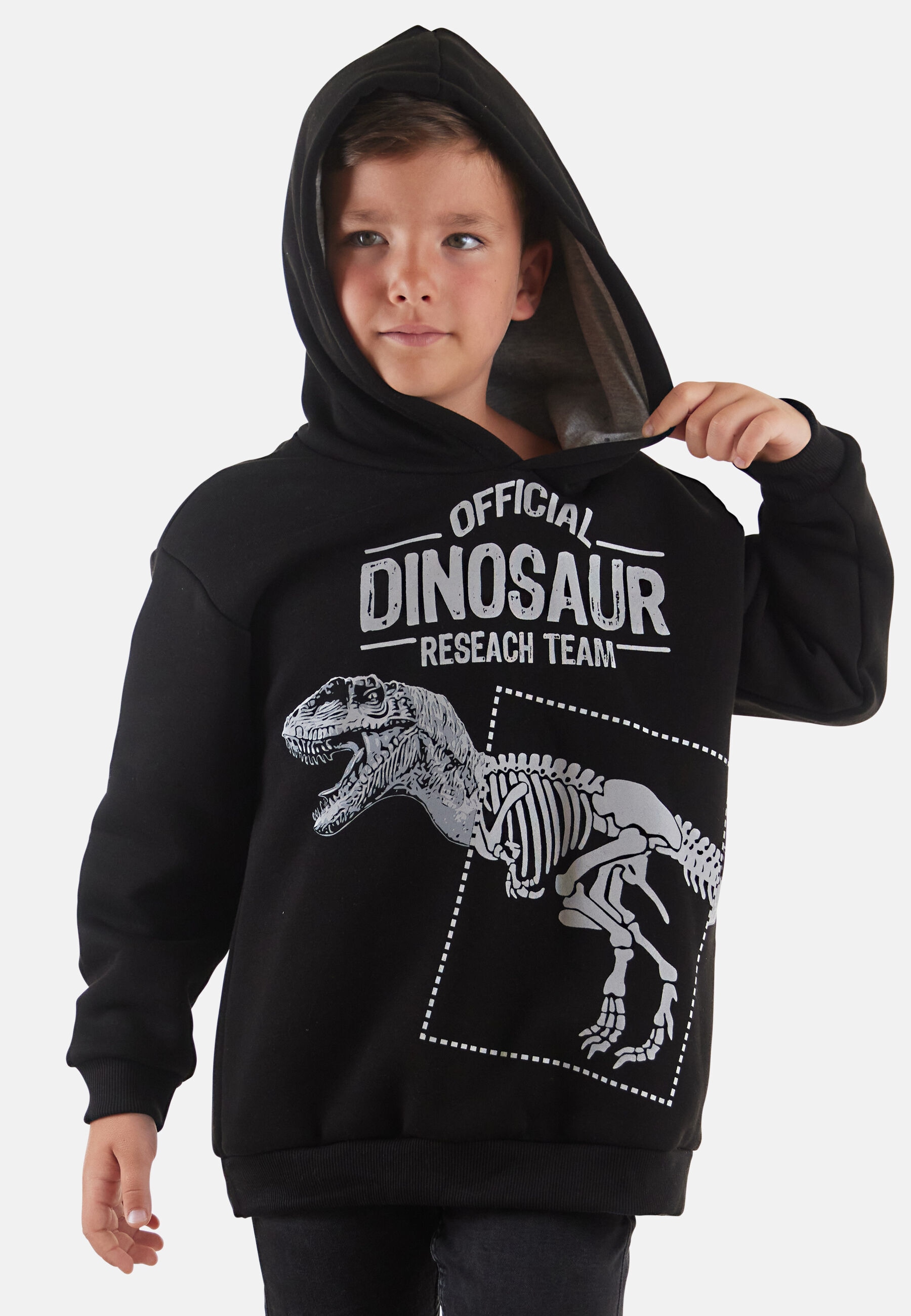 Denokids Kapuzenpullover »Dino Research«, mit Dinosaurier-Motiv