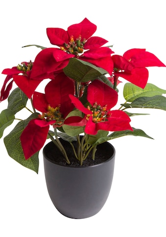 Kunstblume »Poinsettie mit 6 Blüten«