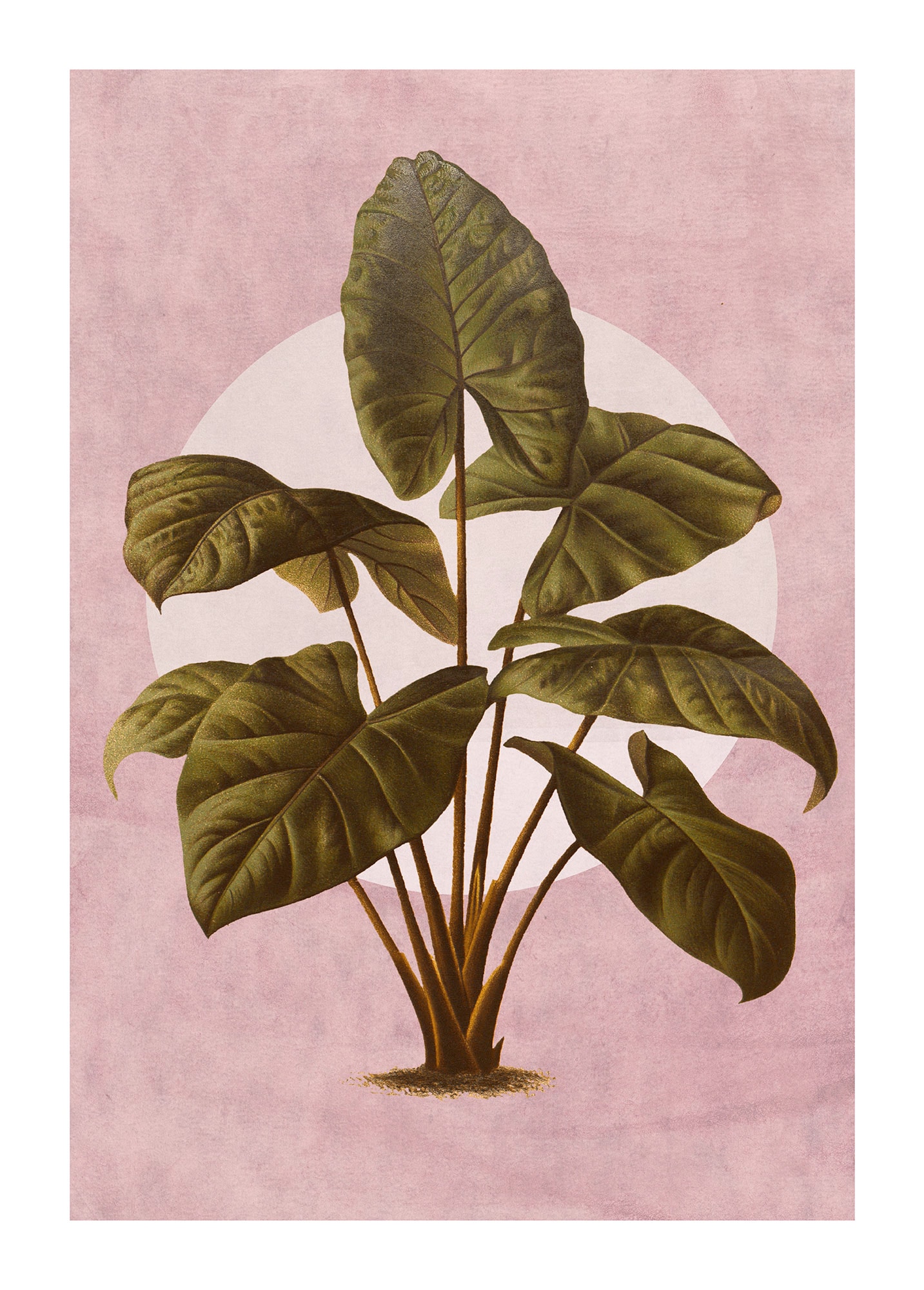 Komar Bild "Créatures Végétales" Natur 1 Stk. tlg. Wandbild zur Dekoration günstig online kaufen