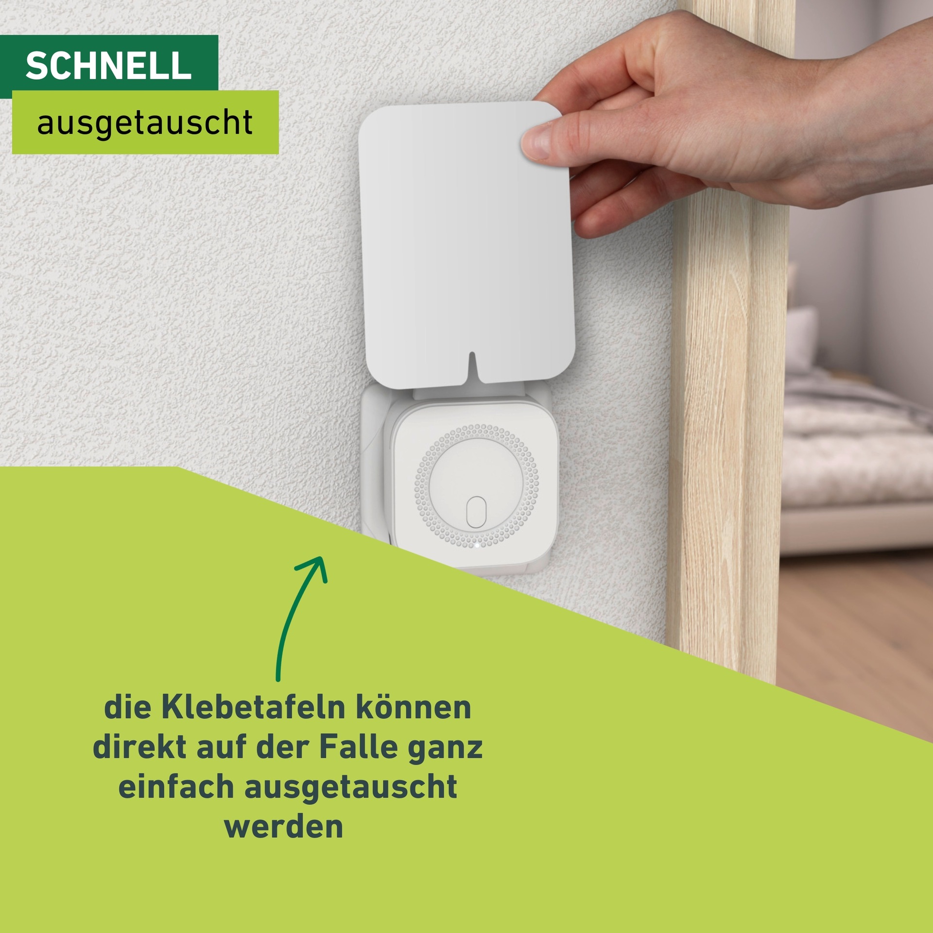 Windhager Klebefalle »Ersatz-Klebetafeln 20 Stück für Artikel 03133« Fruchtfliegenfalle Nachfüllungen, Mottenfalle