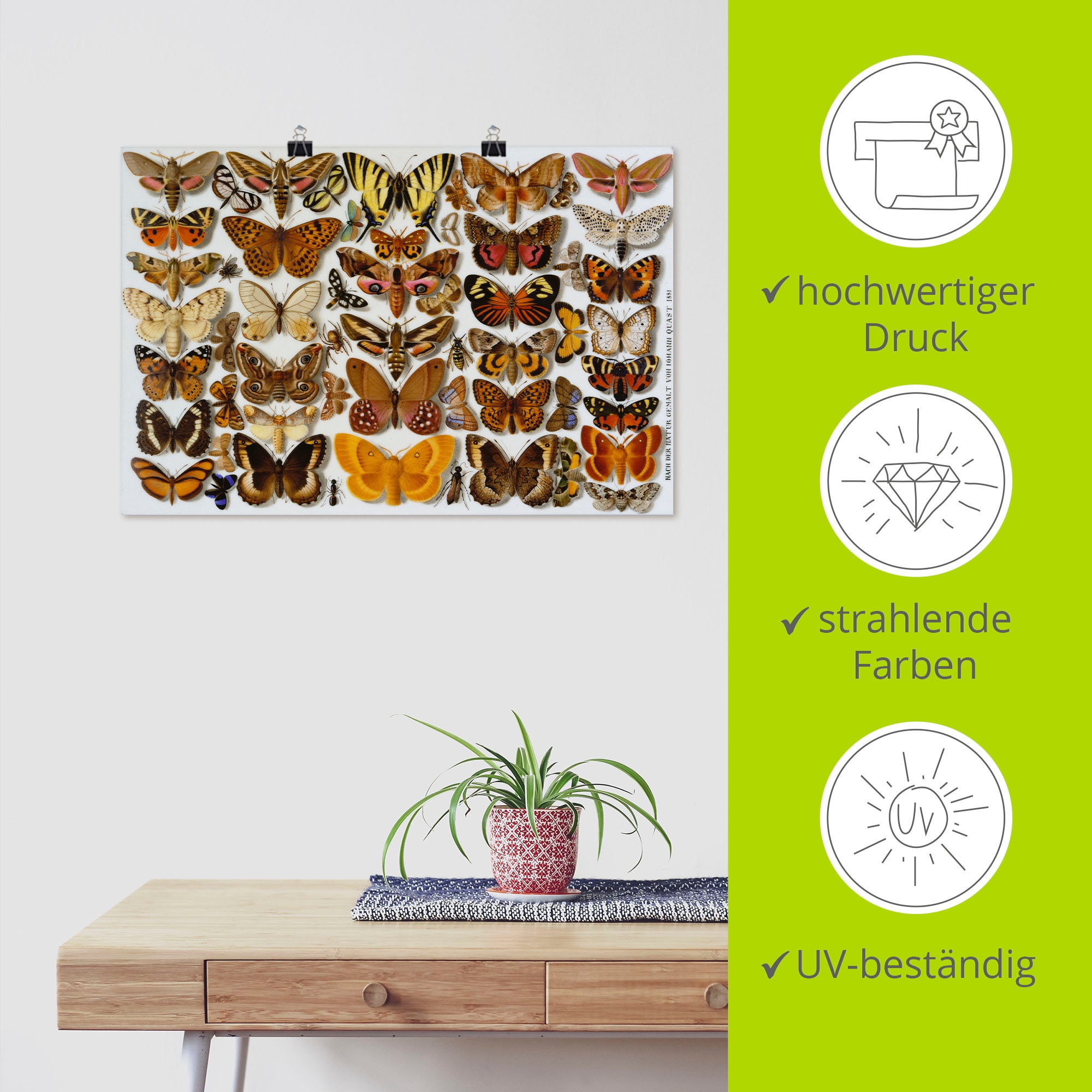 Artland Kunstdruck »Schmetterlinge. Porzellanmalerei. 1881«, Insekten, (1 St.), als Alubild, Leinwandbild, Wandaufkleber oder Poster in versch. Größen