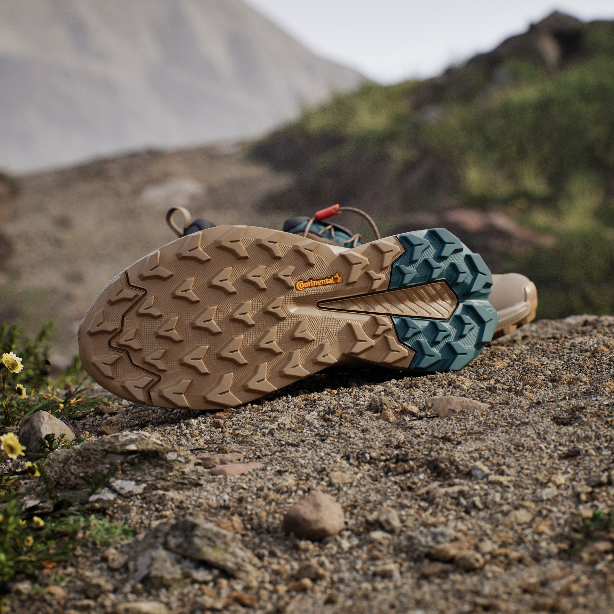 adidas TERREX Wanderschuh »TERREX TRAILMAKER 2 GORE-TEX SPEED LACE«  wasserdicht dank Gore-Tex Membrane