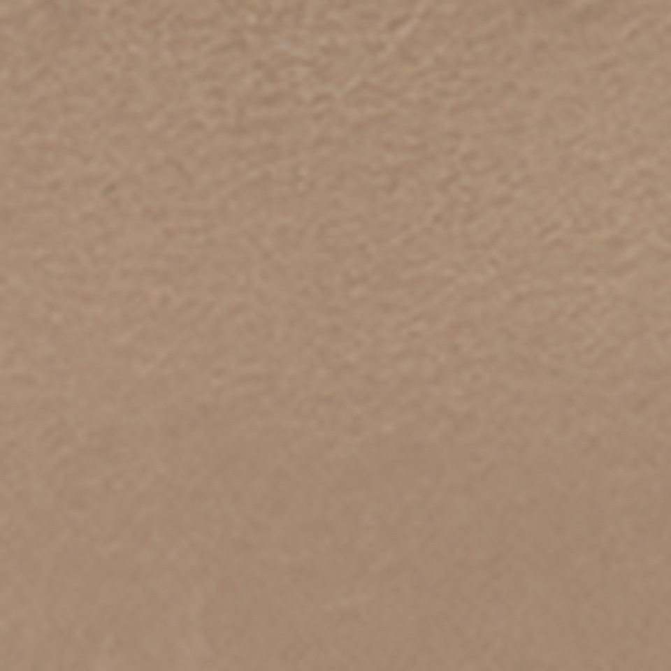 Cecil Ledergürtel mit Nieten