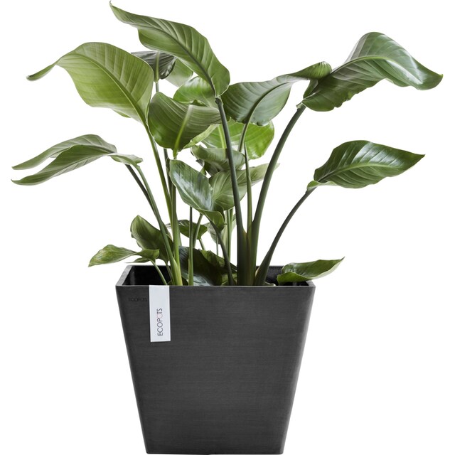 ECOPOTS Blumentopf »ROTTERDAM Dark Grey«, BxTxH: 30x30x26 cm kaufen | BAUR