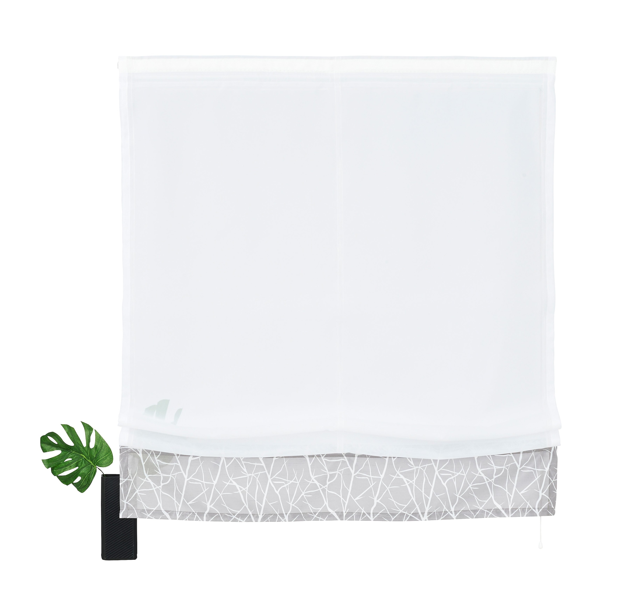 Klettband, Transparent, my BAUR Voile, mit Polyester home Raffrollo | »Camposa«, kaufen