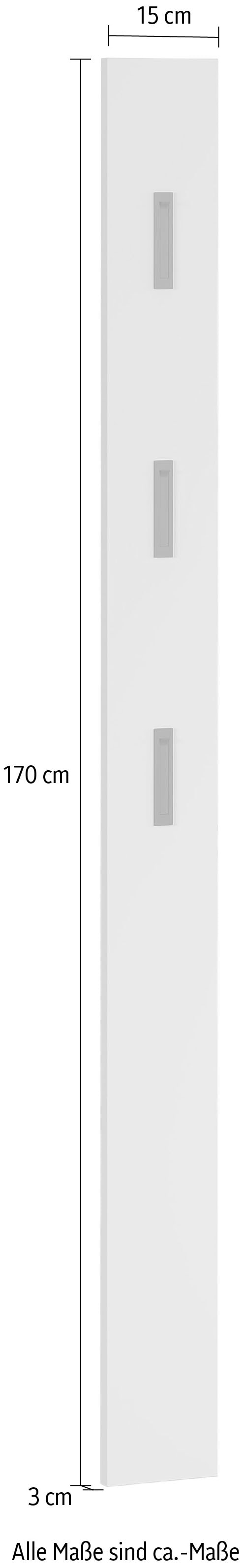GERMANIA Garderobenpaneel »Colorado«, mit 3 Klapphaken in schwarz oder silber, Höhe 170 cm