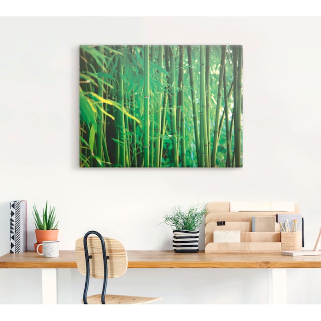 Black Friday Artland Wandbild »Bambus I«, Gräser, (1 St.), als Leinwandbild,  Wandaufkleber oder Poster in versch. Größen | BAUR