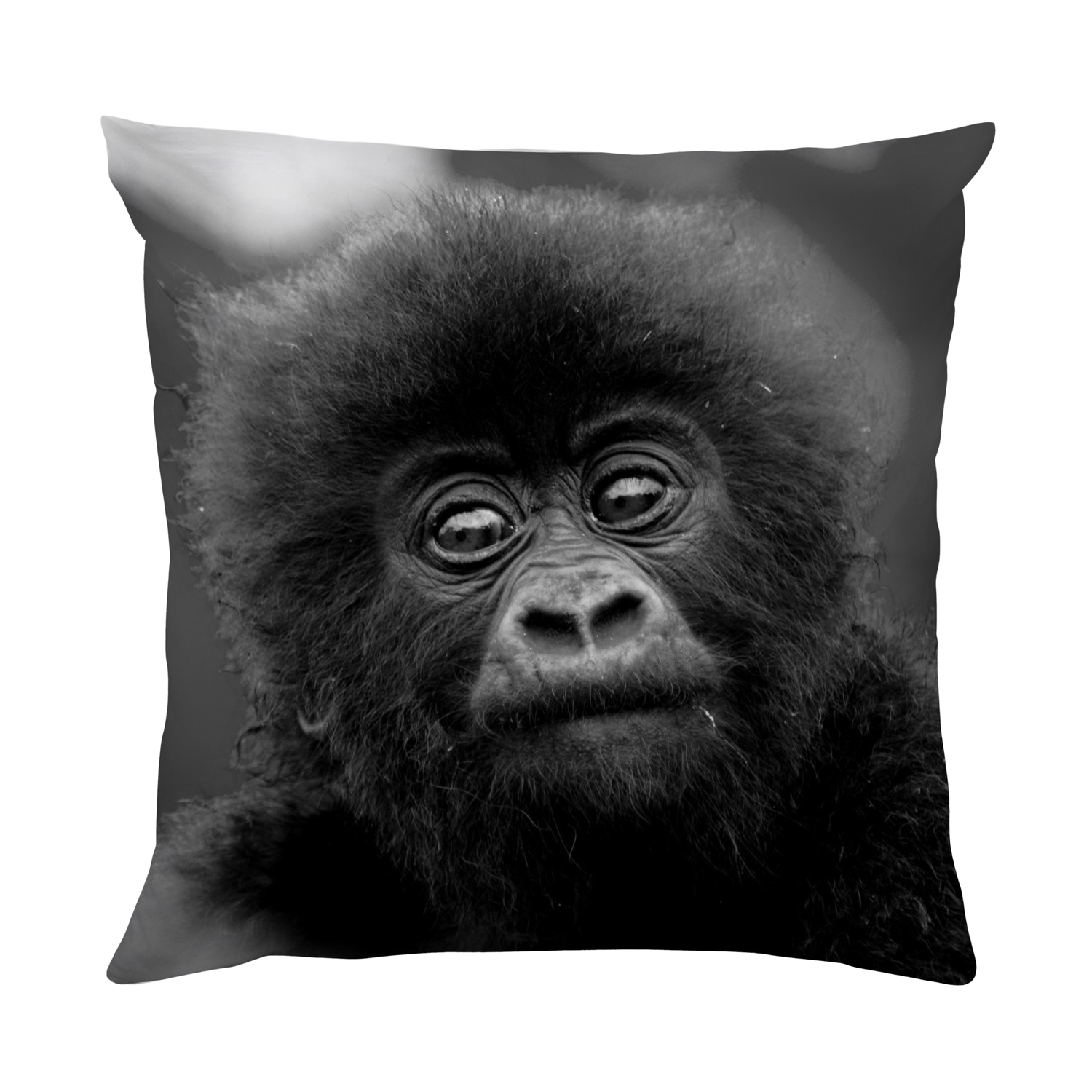 queence Dekokissen »Affen Baby«, Kissenhülle mit HD Premium Druck, geruchsneutral, 40x40cm