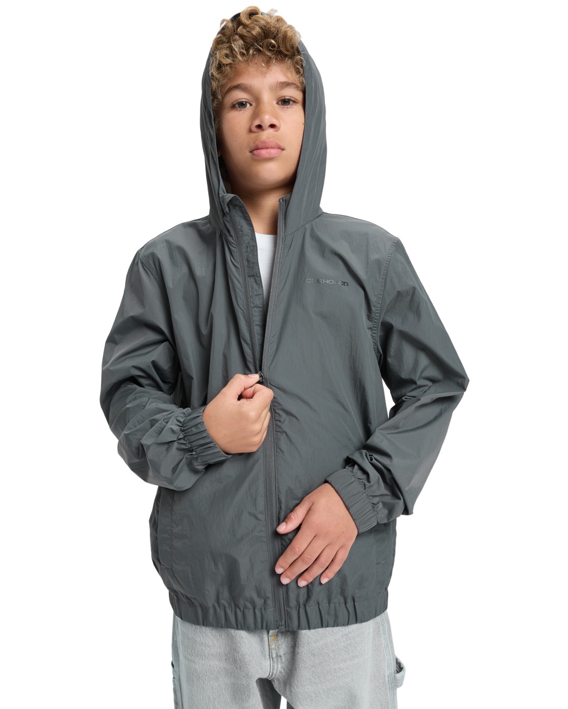 DC Shoes Funktionsjacke »Sentinel«