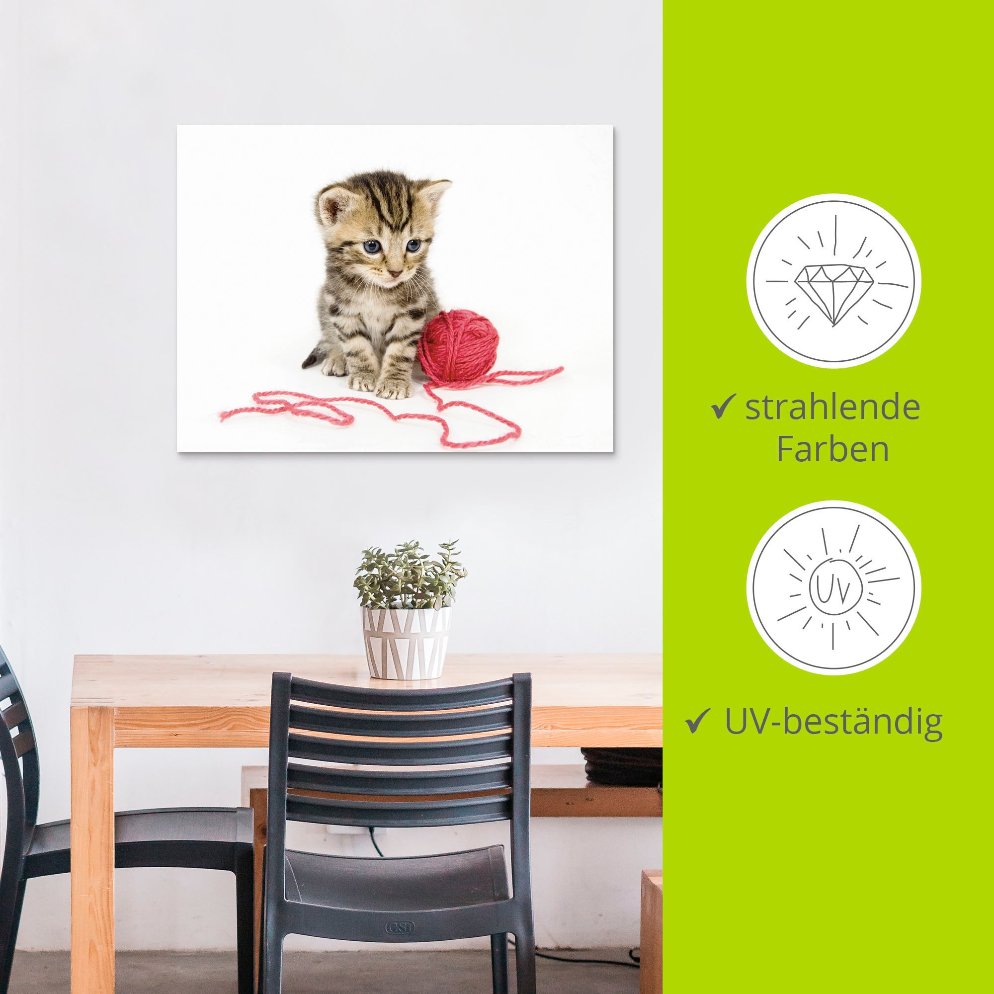 Artland Wandbild »Kätzchen mit rotem Garnball«, Haustiere, (1 St.), als Alubild, Outdoorbild, Poster, Wandaufkleber in verschied. Größen