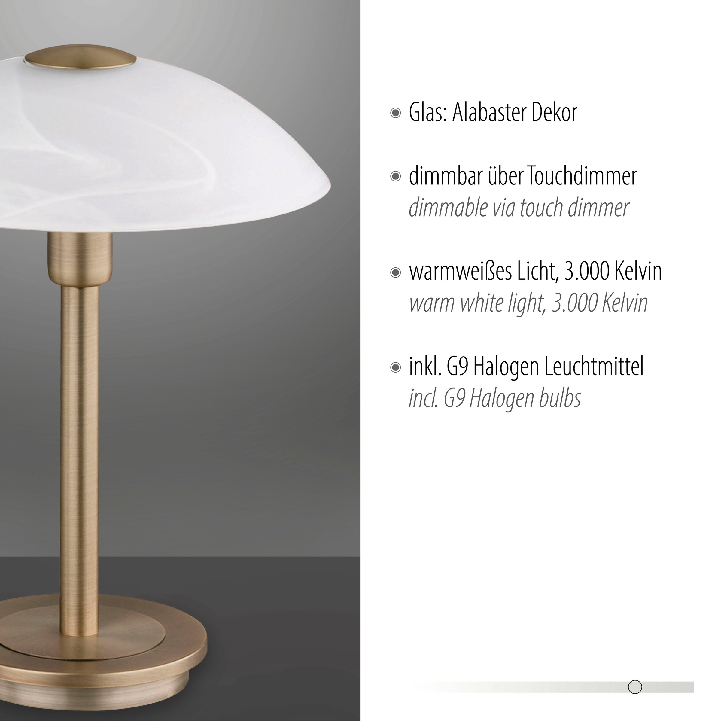 Paul Neuhaus Tischleuchte »ENOVA«, 1 flammig, Leuchtmittel G9 | LED wechselbar