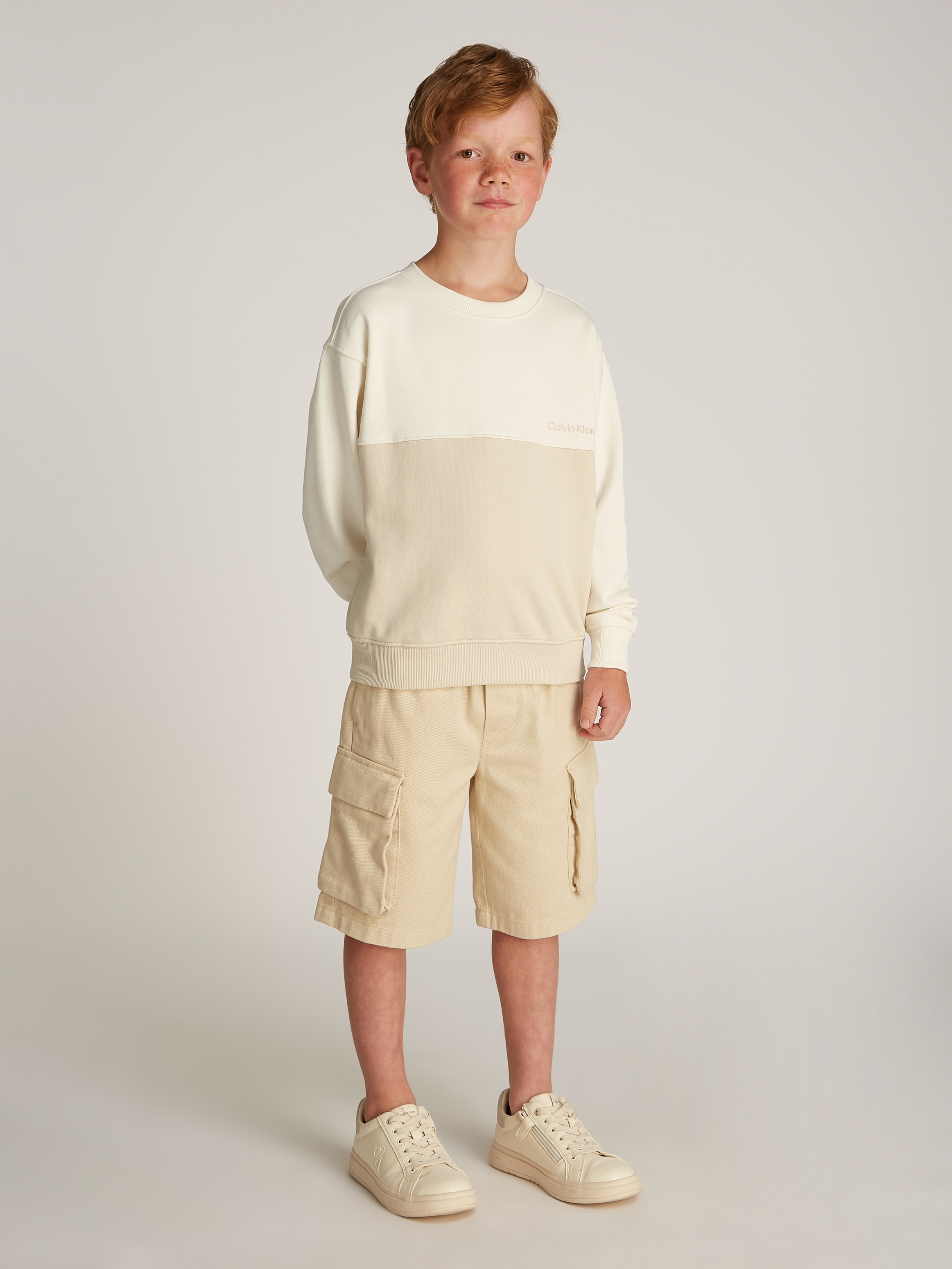 Calvin Klein Jeans Sweatshirt »COLOR BLOCK TERRY CN«, im Colorblock-Design
