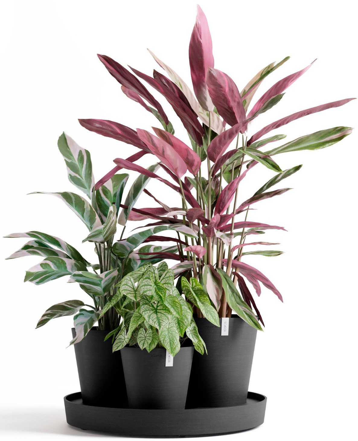 ECOPOTS Blumentopf »Dubai Dunkelgrau« für innen und außen: frostsicher, bruchsicher und lichtbeständig
