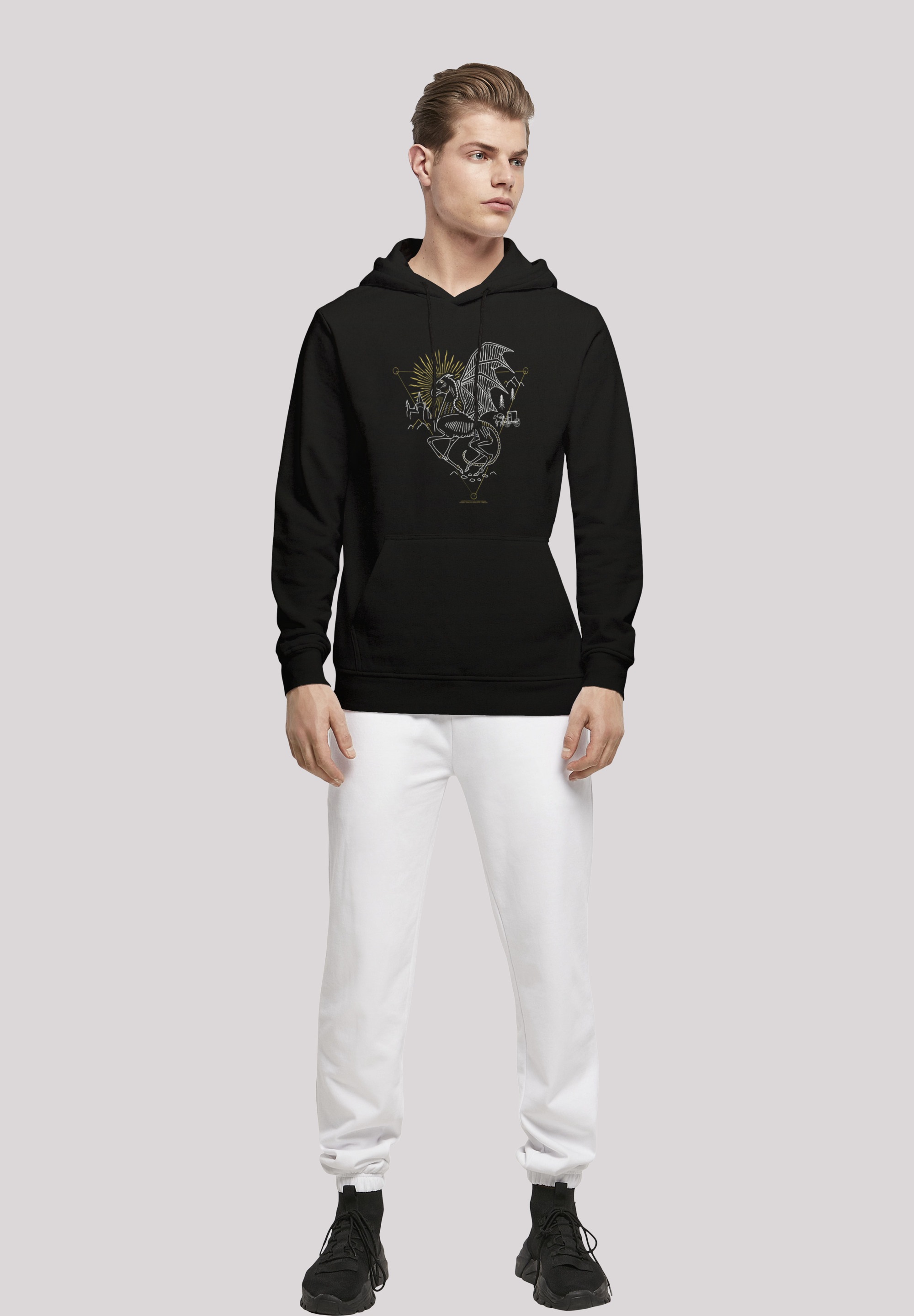 F4NT4STIC Rundhalspullover »F4NT4STIC Herren«, (1 tlg.)