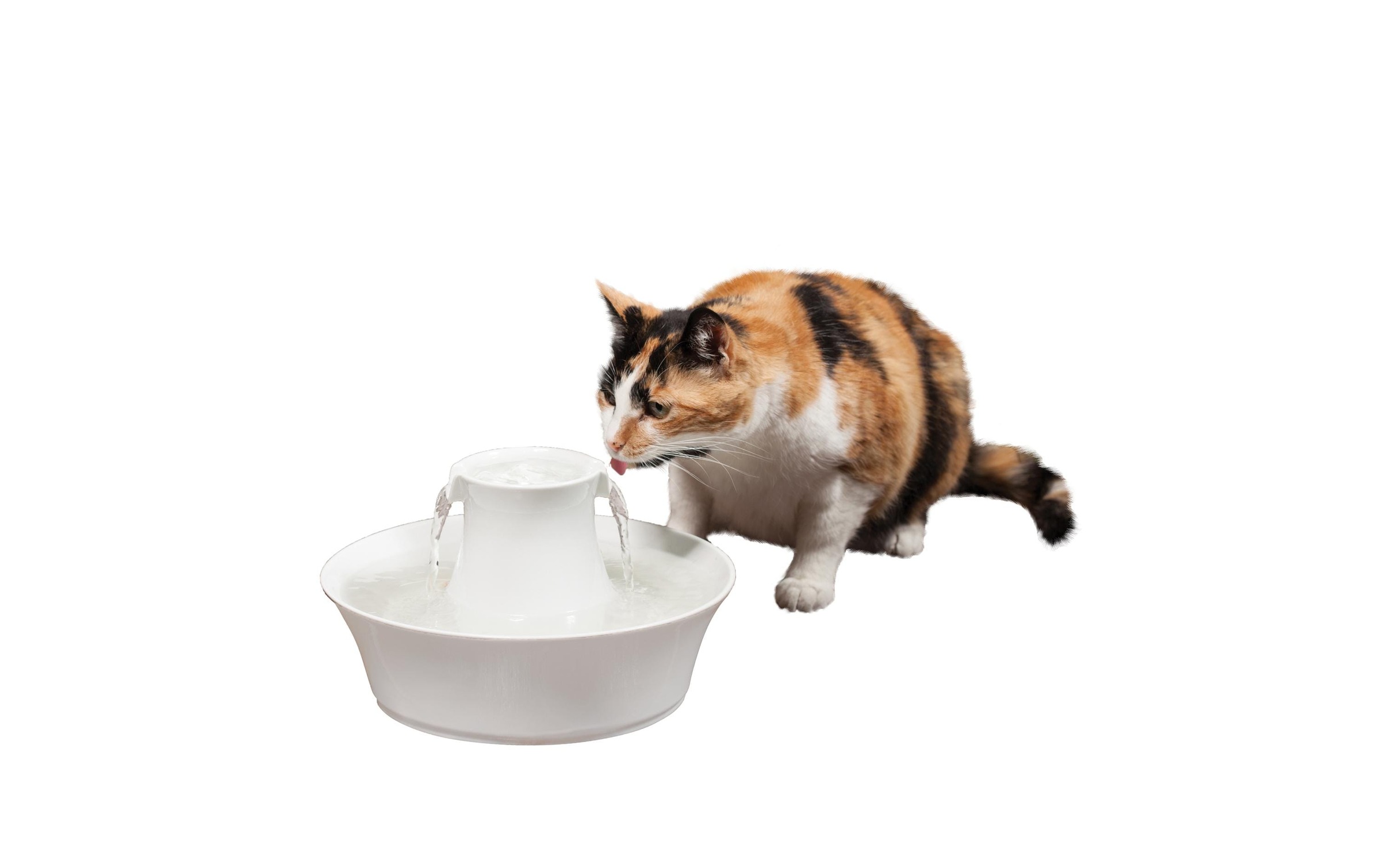 PetSafe Wasserspender »Drinkwell Keramik-Trinkbrunnen Avalon 2 l«