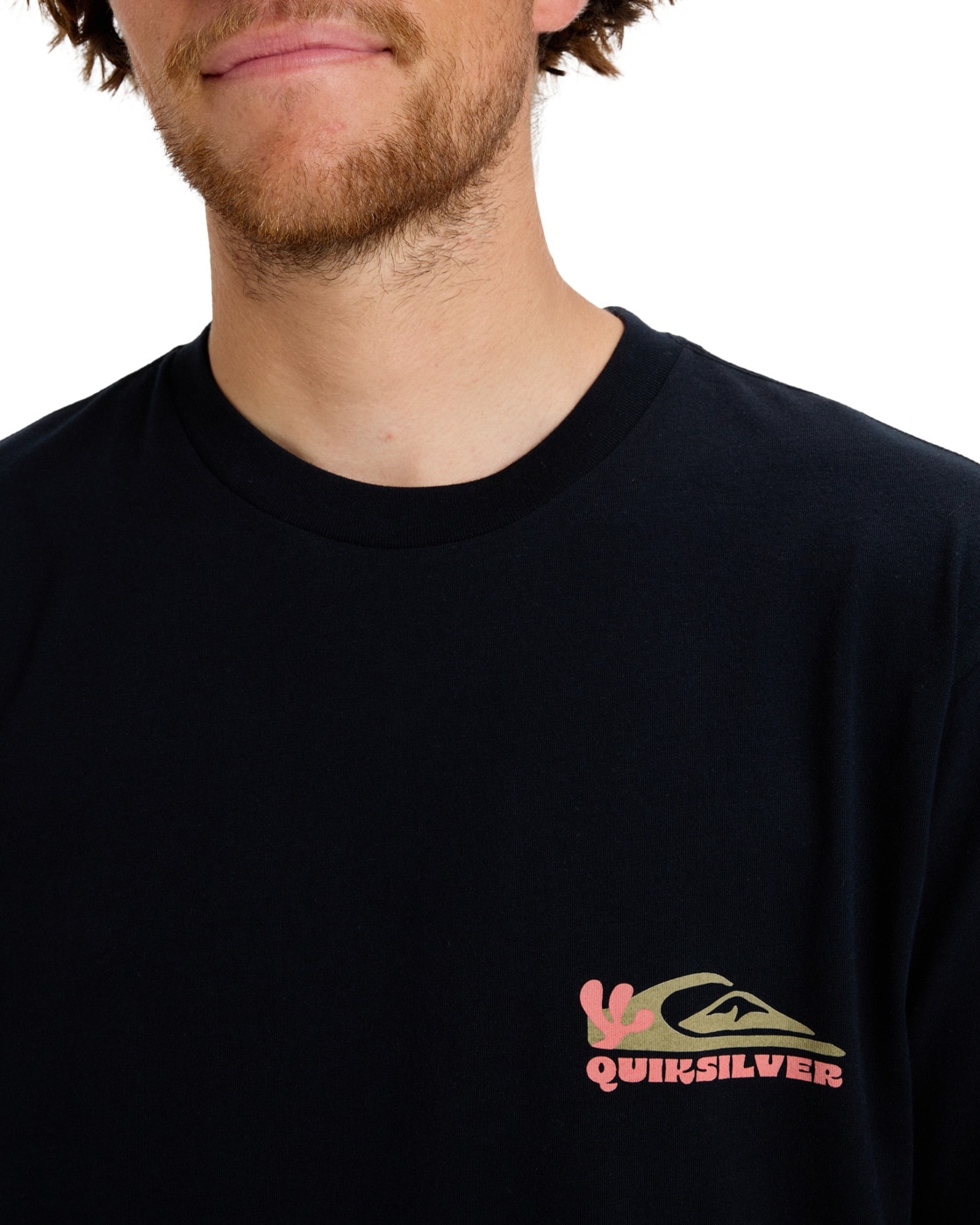 Quiksilver T-Shirt »Ev Everyday Paradise«