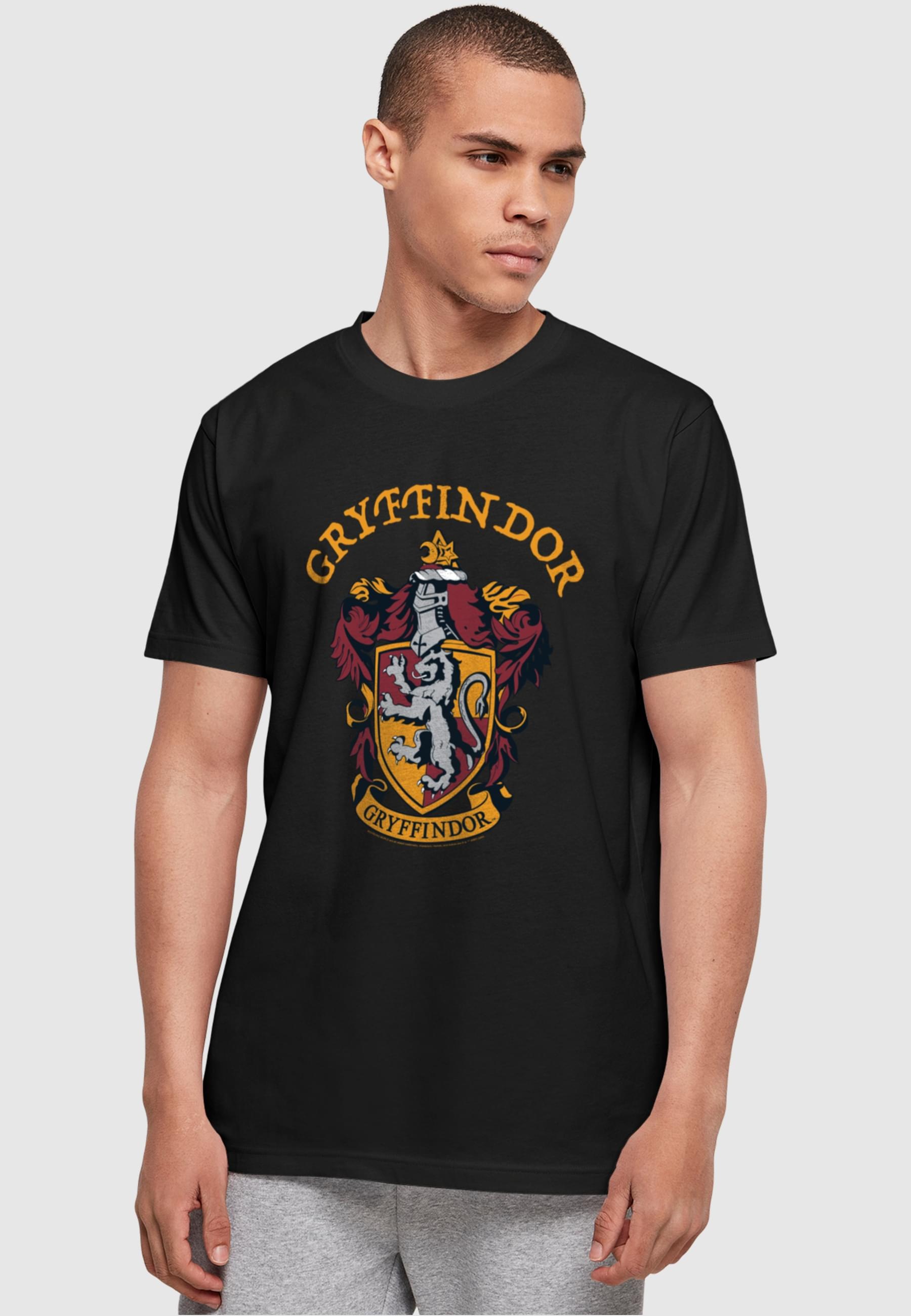 ABSOLUTE CULT T-Shirt »ABSOLUTE CULT Herren Harry Potter - Gryffindor Crest T-Shirt«, (1 tlg.)
