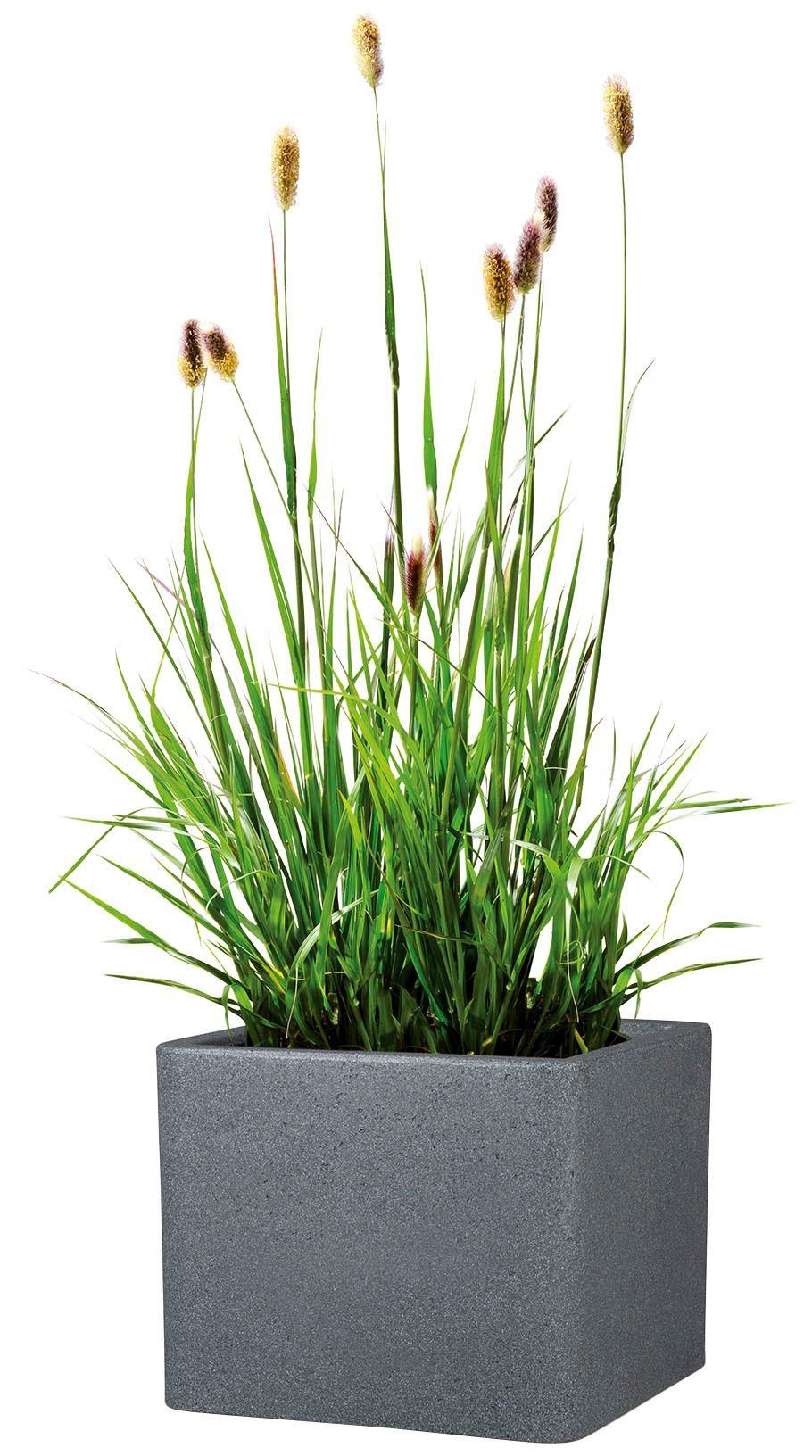 Scheurich Blumentopf »40/140 ALEA UET«
