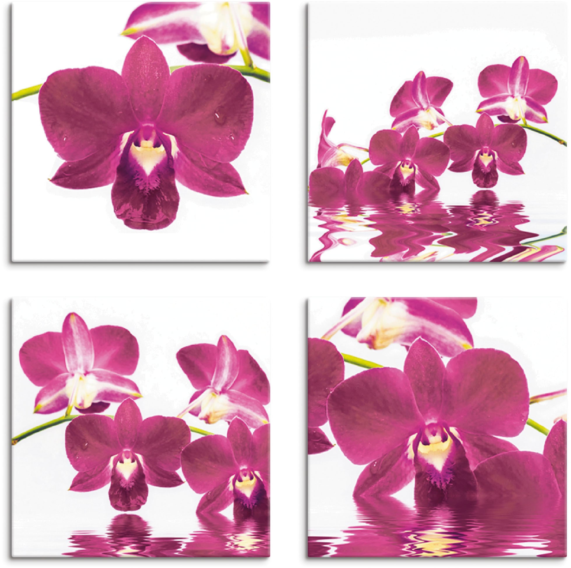 verschiedene Blumen, Set, BAUR (4 | St.), Größen Artland »Phalaenopsis Leinwandbild kaufen 4er Orchidee«,