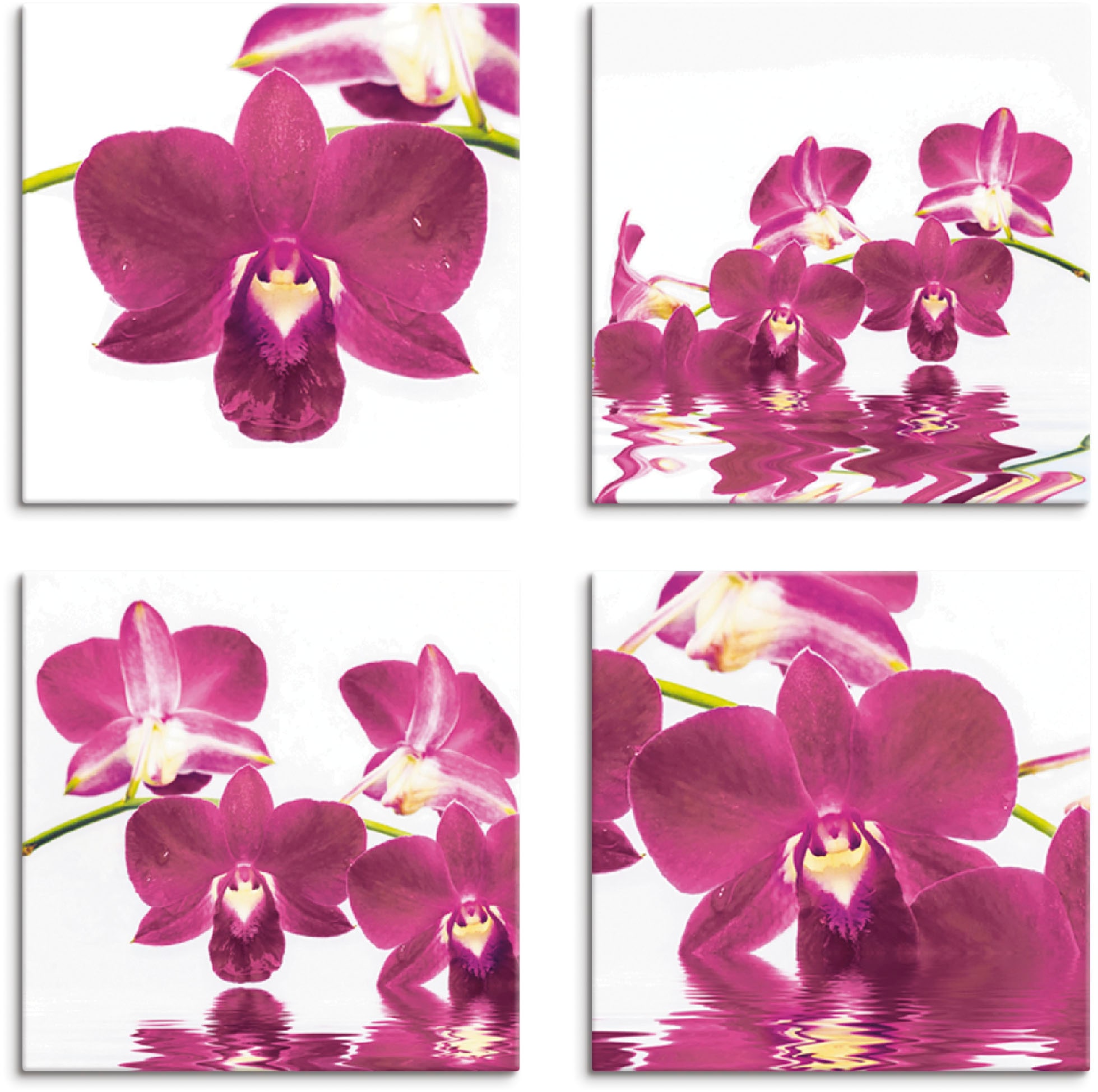Artland Leinwandbild "Phalaenopsis Orchidee" Blumen 4 Stk. tlg. 4er Set, verschiedene Größen