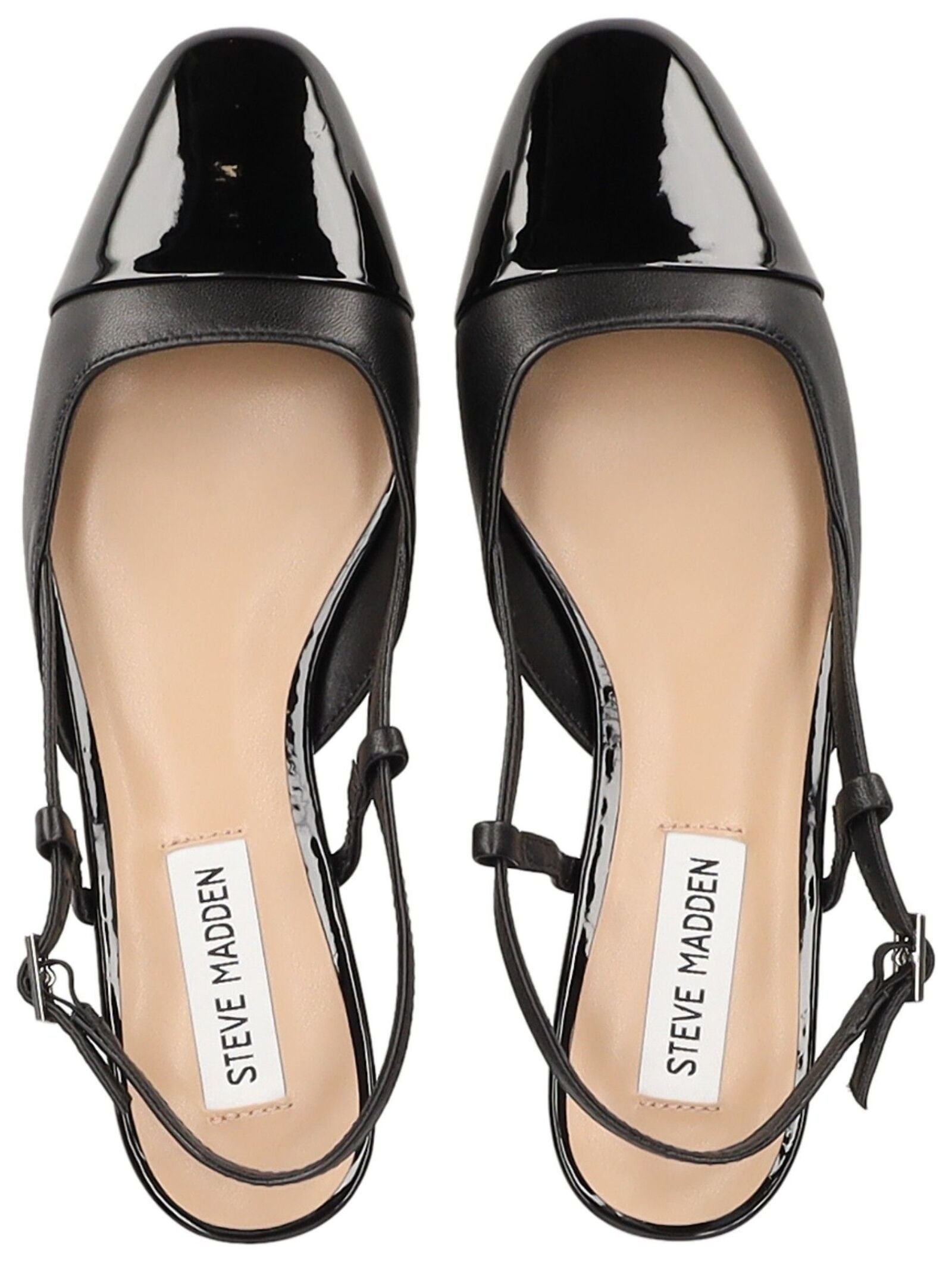 STEVE MADDEN Ballerina »STEVE MADDEN Ballerinas Leder«
