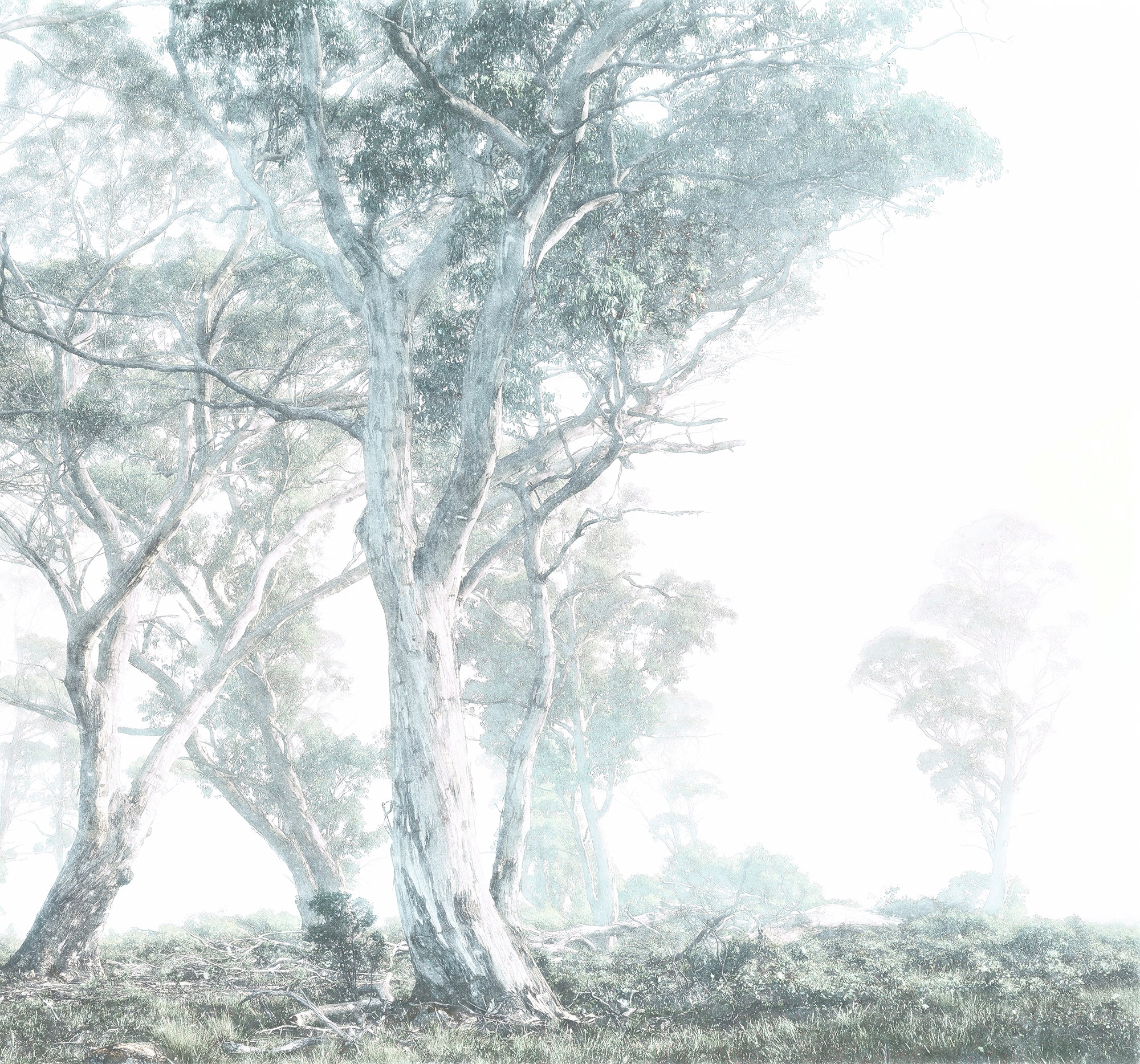 Komar Vliestapete "Magic Trees", 300x280 cm (Breite x Höhe), Vliestapete, 100 cm Bahnbreite