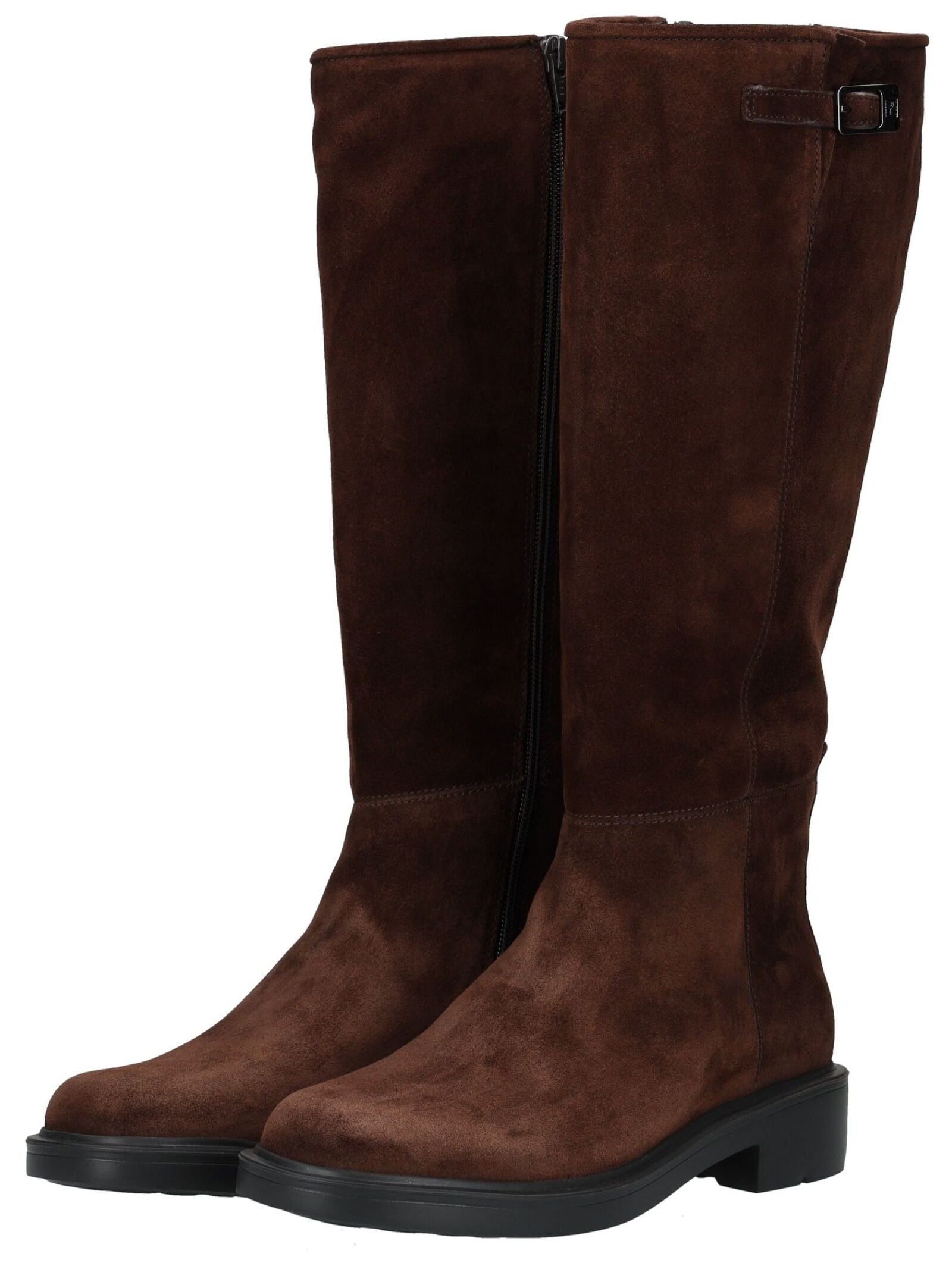 Högl Stiefel »Högl Stiefel Veloursleder«