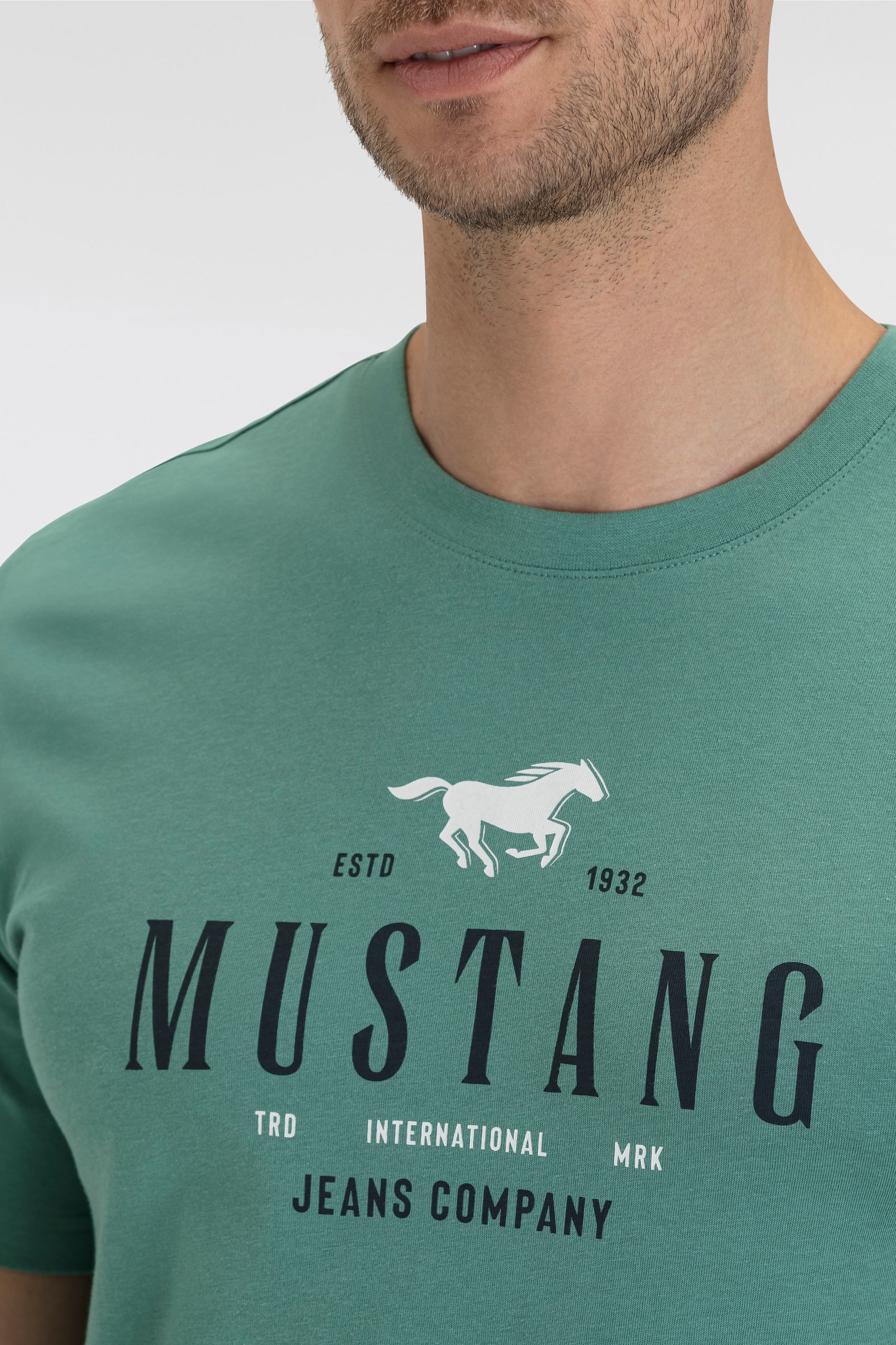 MUSTANG T-Shirt »Style Alex C Print«