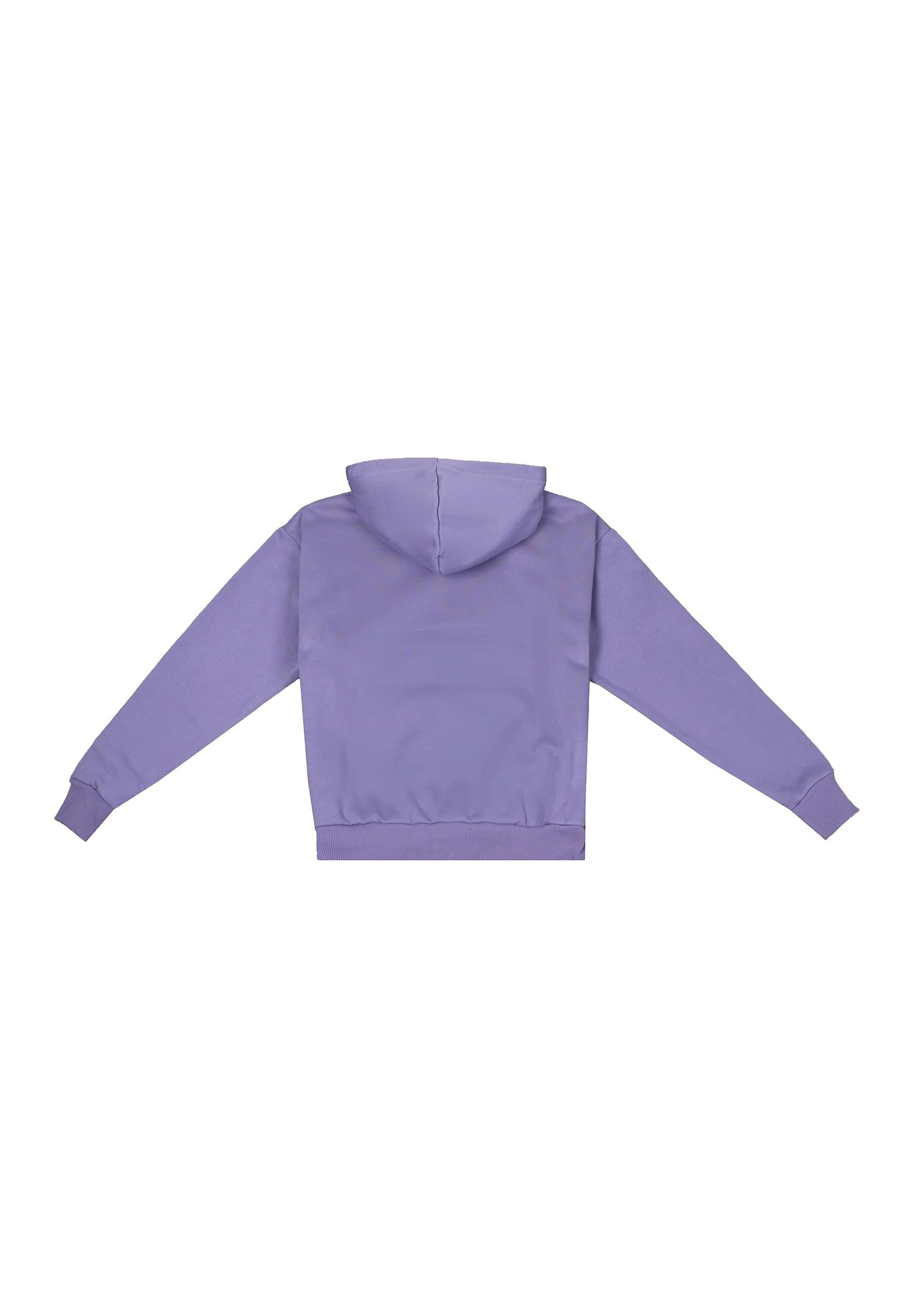 Dropsize Kapuzensweatshirt »Dropsize HEAVY LOGO DESIGN HOODIE«, 1 Stk.
