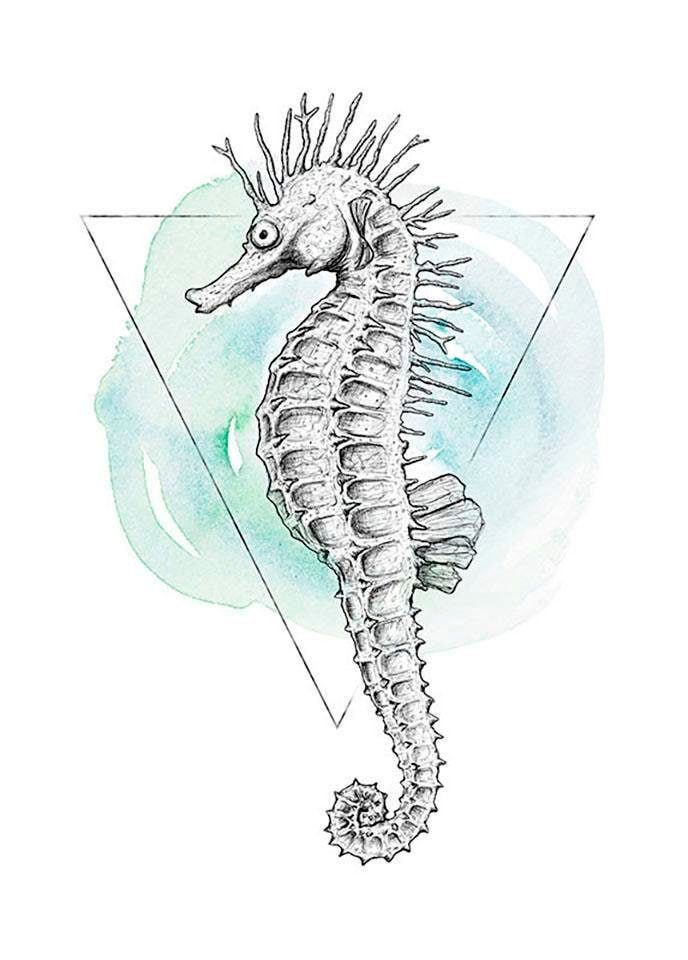 Poster »Sea Horse Watercolor«, Tiere, (1 St.), Kinderzimmer, Schlafzimmer, Wohnzimmer