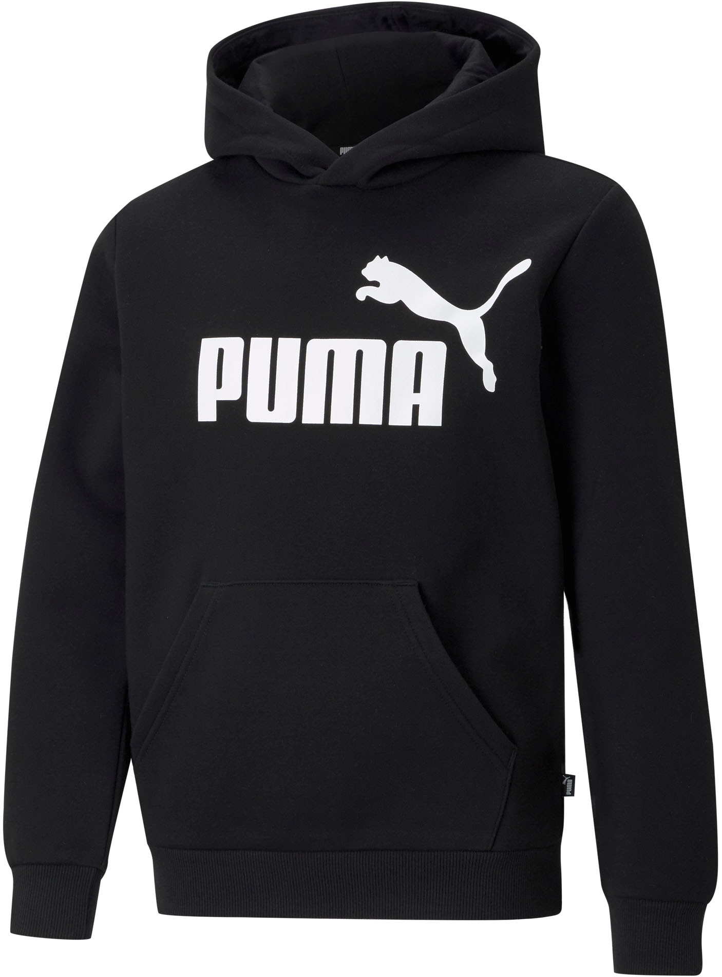 PUMA Kapuzensweatshirt »ESS BIG LOGO HOODIE FL B«