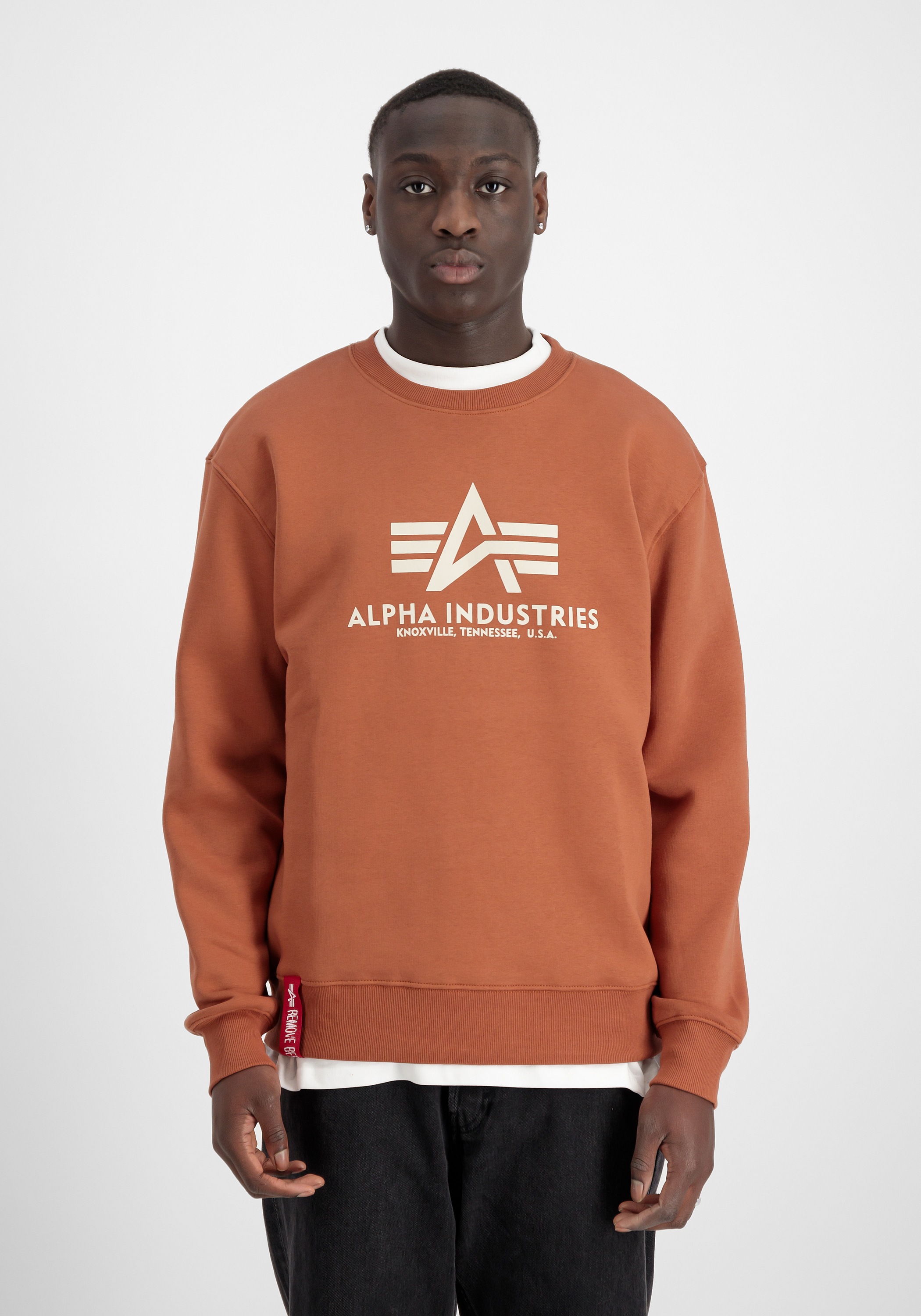 Alpha Industries Sweater »Alpha Industries Men - Sweatshirts Basic Sweater«