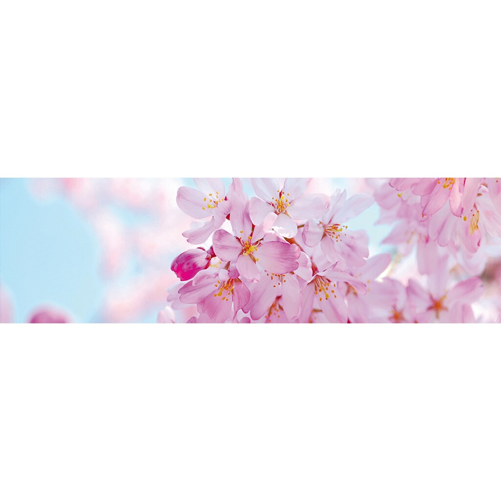 Papermoon Fototapete »Cherry Blossom Panorama«, matt