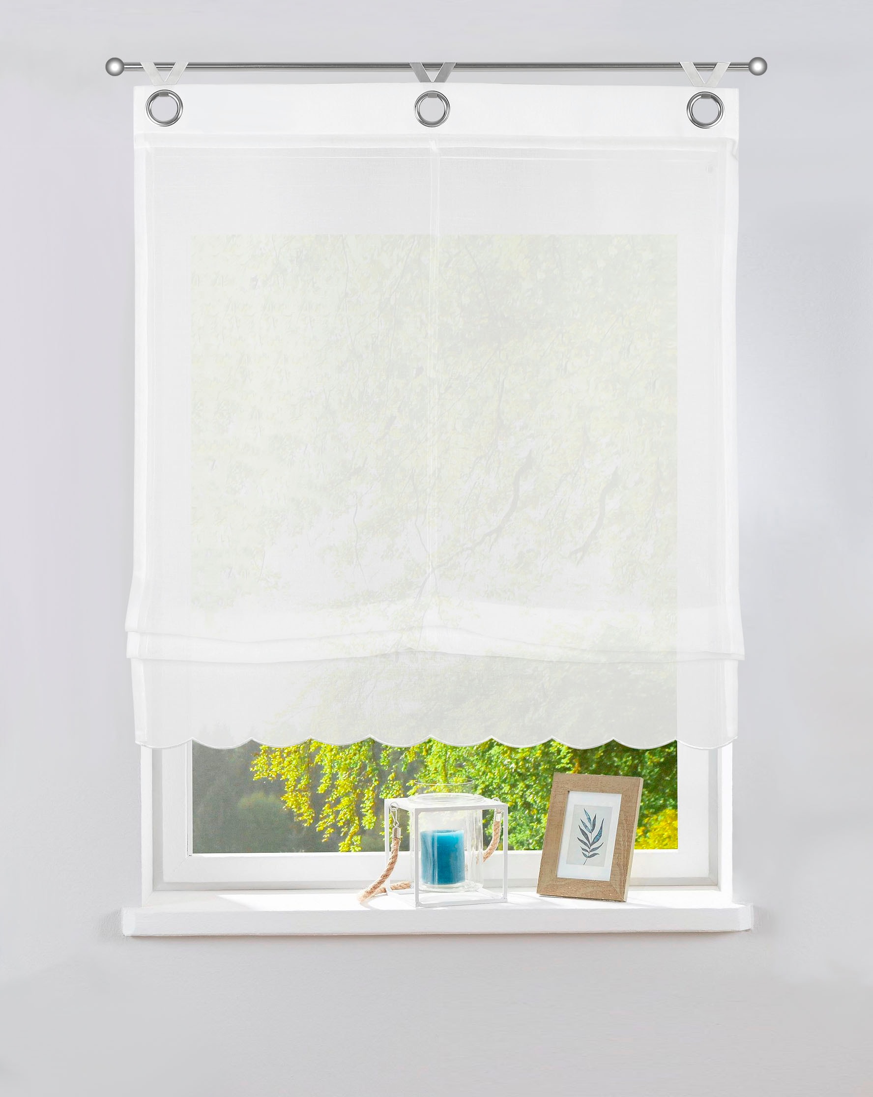 my home Raffrollo Blende verschiedene | gewebt, transparent, mit BAUR Hakenaufhängung, bestickte Größen, »Dolly«, bestellen