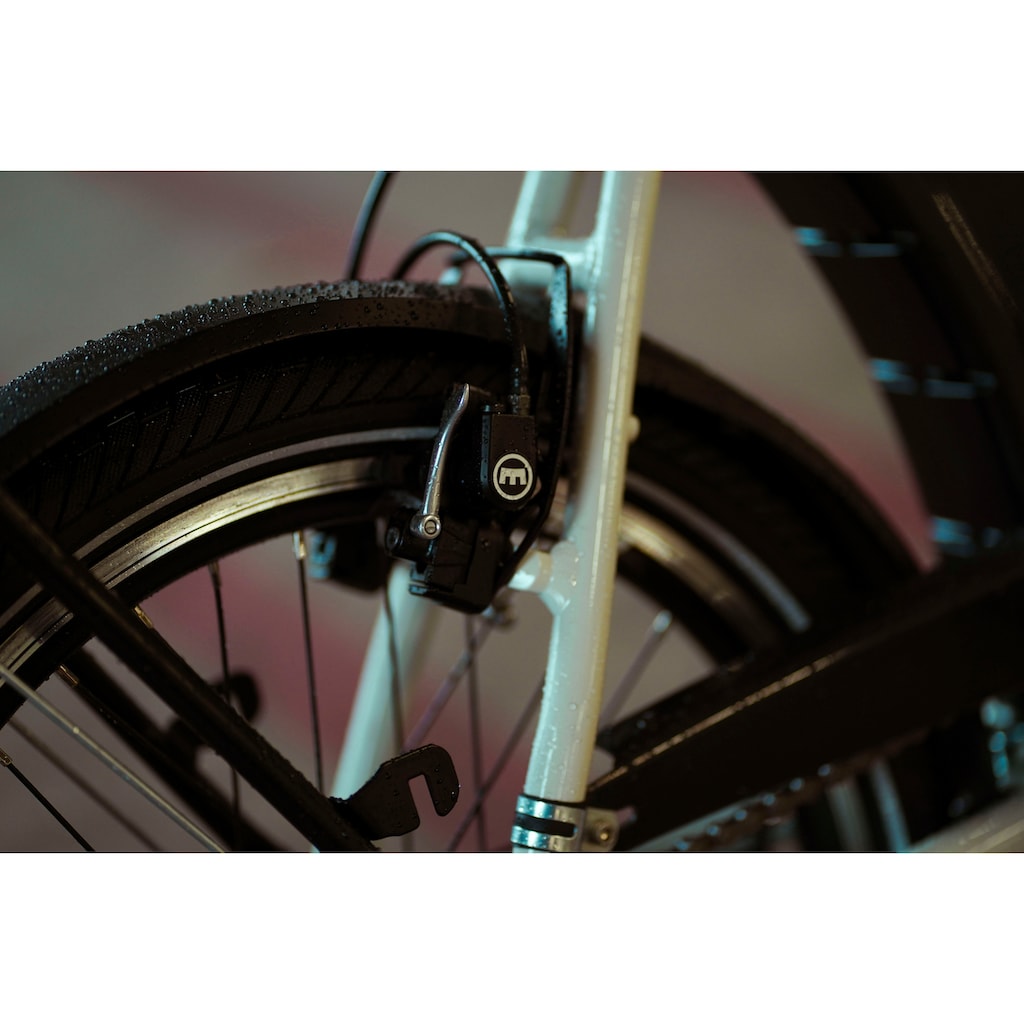 Prophete E-Bike »Urbanicer 3.0«, 7 Gang, Shimano, Nexus, Mittelmotor 250 W