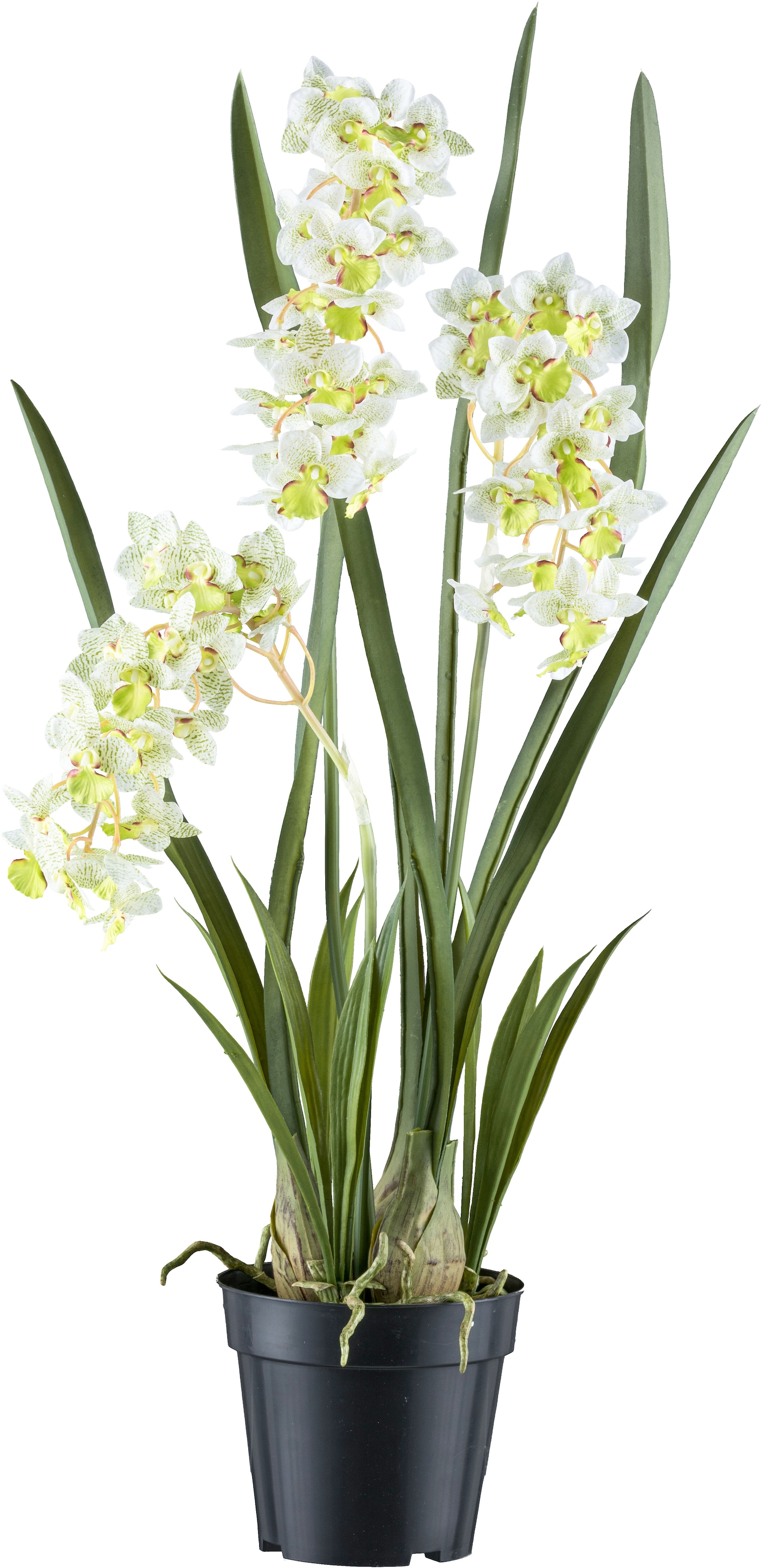 Creativ green Kunstorchidee "Orchidee Cymbidie orientalis", mit zahlreichen real-touch-Blüten