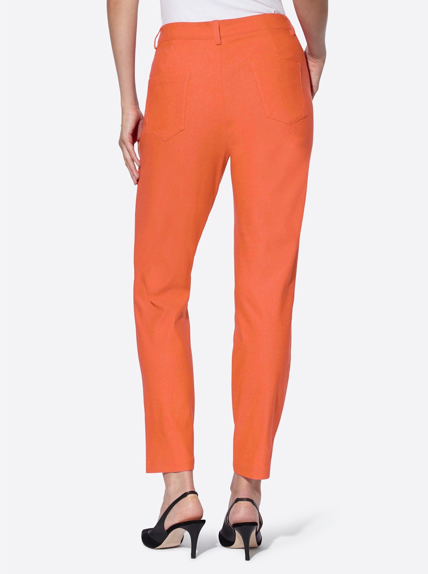 heine Webhose