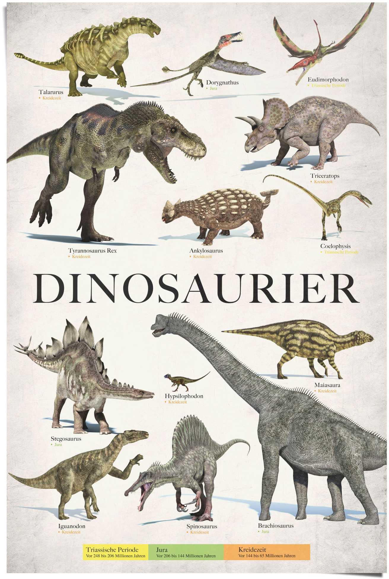 Reinders Poster "Dinosaurier", (1 St.) günstig online kaufen