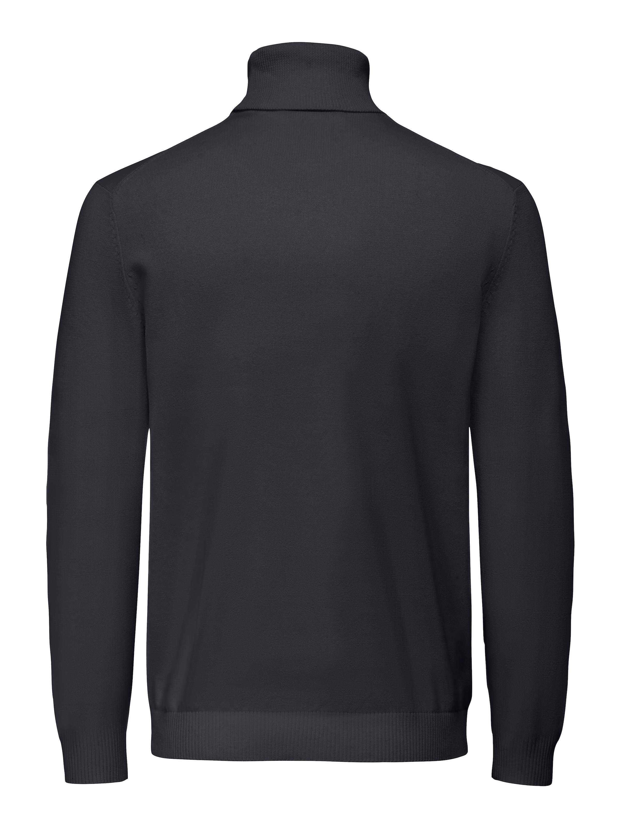 ONLY & SONS Rollkragenpullover »ONSHOLGER REG ROLL NECK KNIT - OTL«