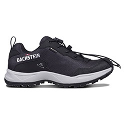 Dachstein Wanderschuh "DELTA ASCENT GORE-TEX WMN", wasserdicht günstig online kaufen