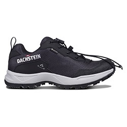 Dachstein Wanderschuh "DELTA ASCENT GTX WMN", wasserdicht günstig online kaufen