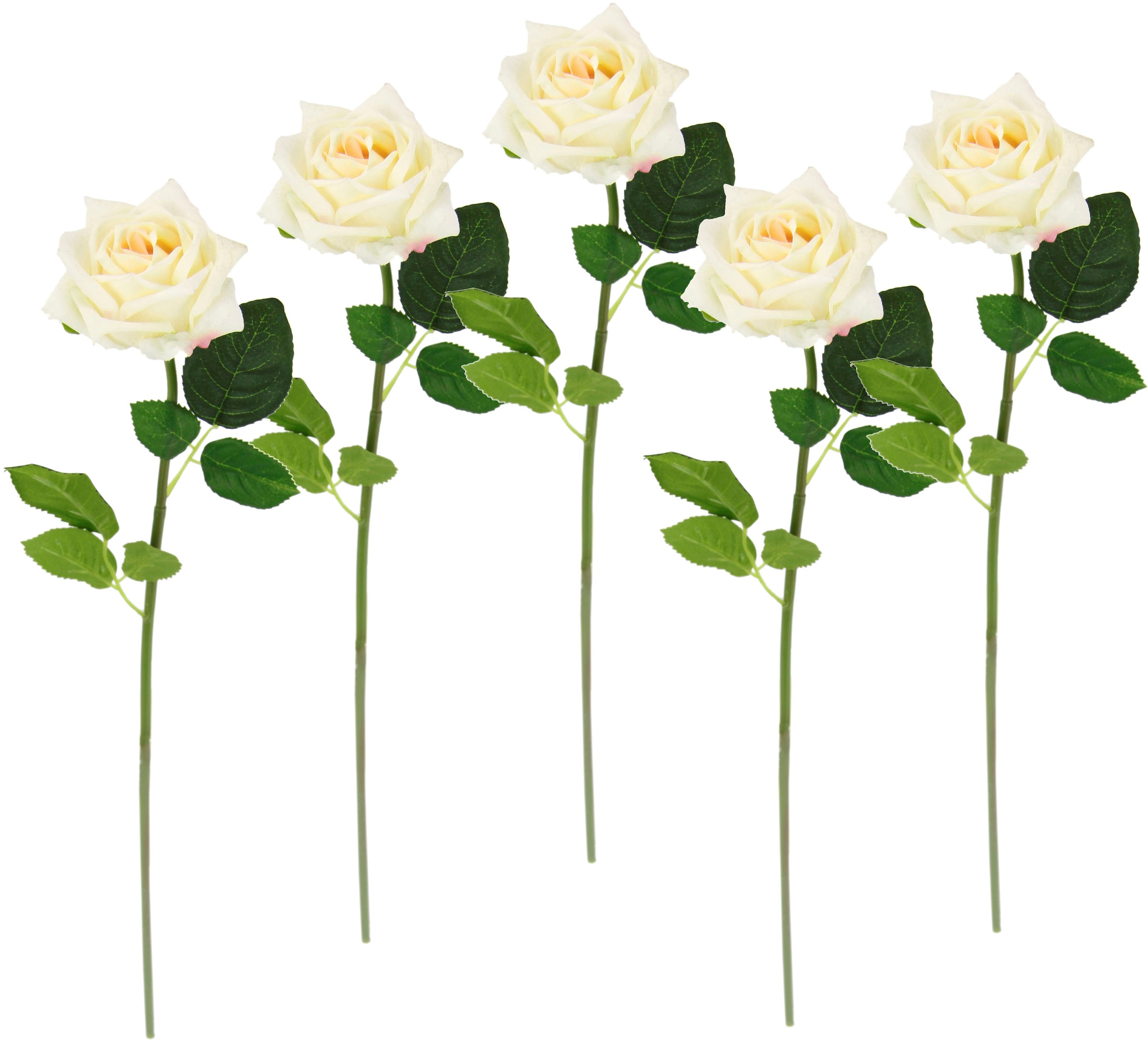 Kunstblume Kunstrose »Rose«, Kunstzweig, Rosen, | 5er Bouquet, Seidenrosen, I.GE.A. kaufen Set BAUR künstliche