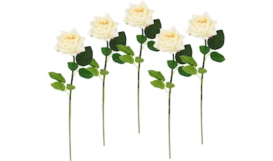 I.GE.A. Kunstblume »Rose«, (5 St.), 5er Set künstliche Rosen, Seidenrosen, Bouquet,... kaufen