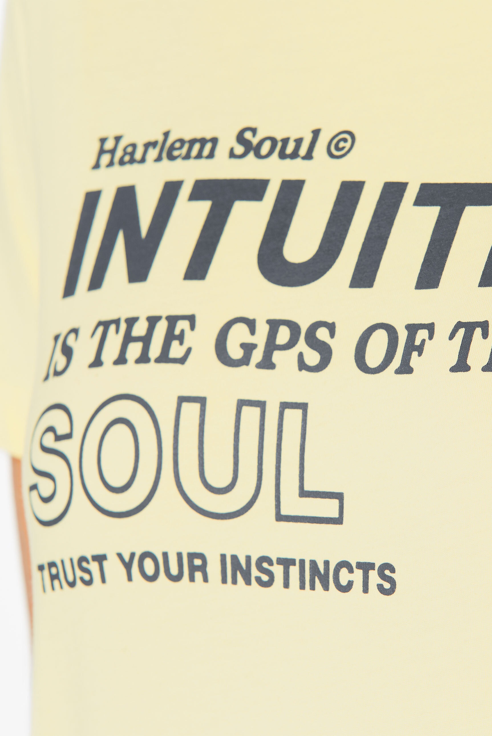 Harlem Soul Rundhalsshirt, aus Bio-Baumwolle