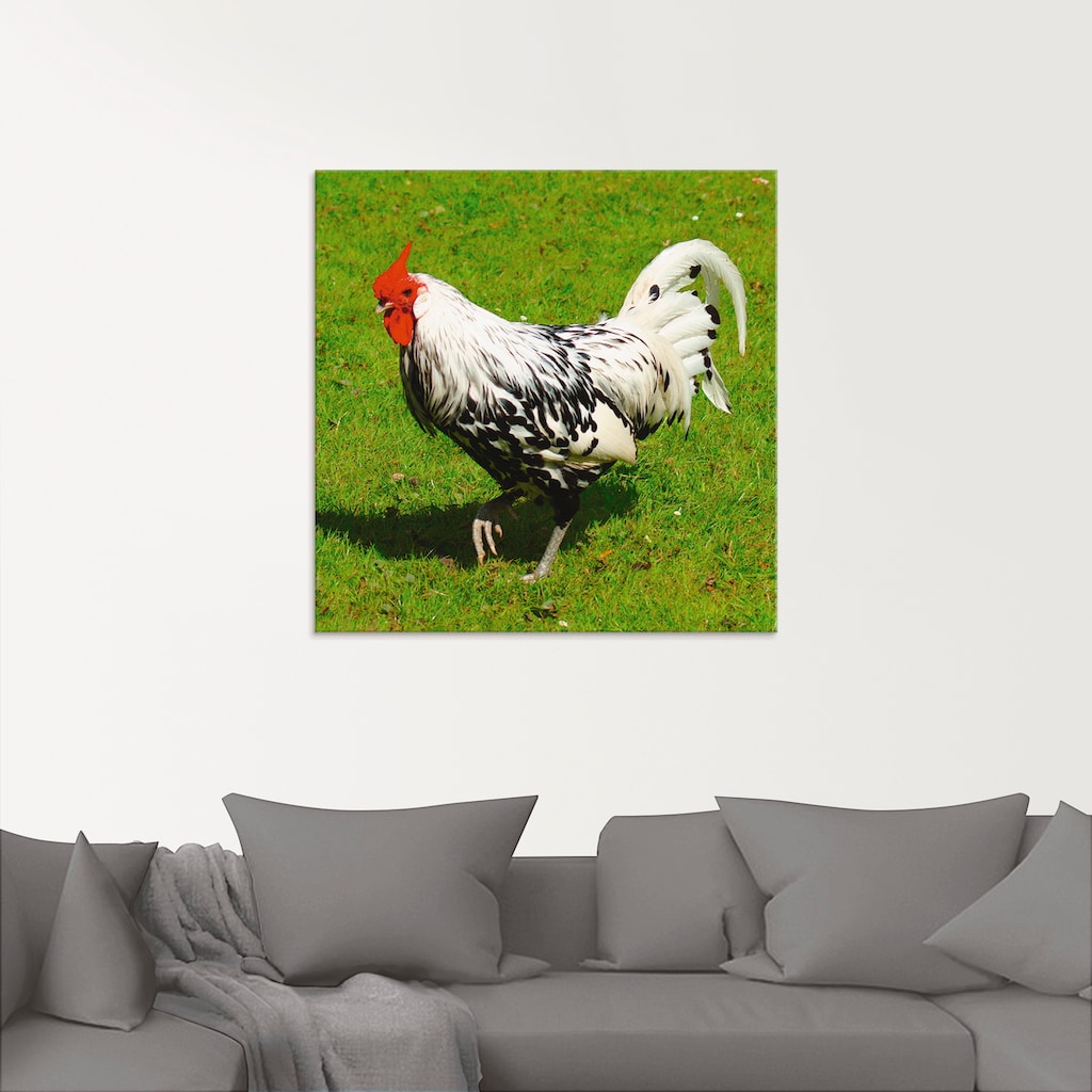 Artland Glasbild »Gepunktetes Huhn«, Vögel, (1 St.)