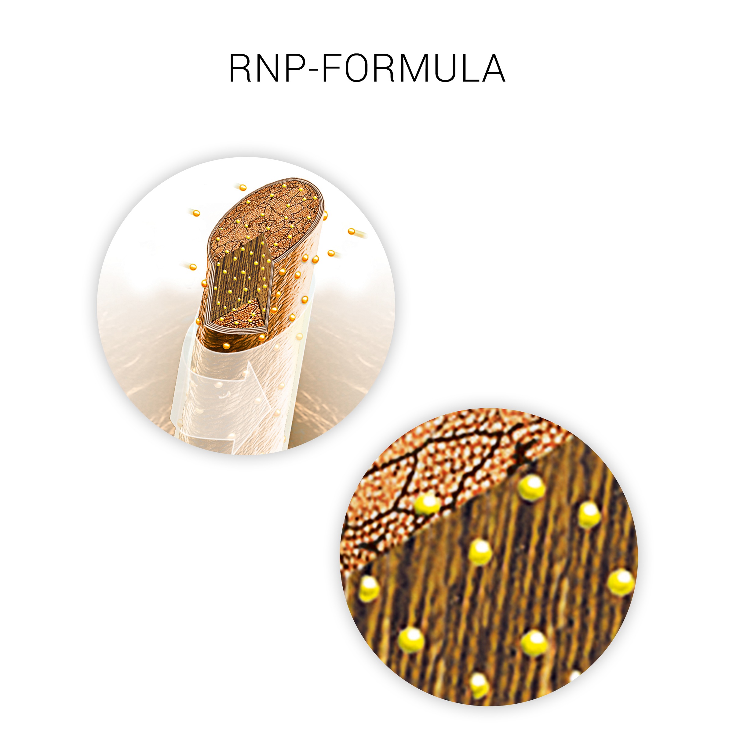 Wella SP Haarserum »Liquid Hair« kräftigt feines Haar, stärkend, ultimativer Glanz, beugt Haarbruch vor